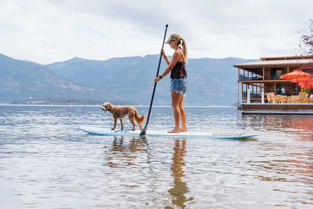 A dog standing on a paddleboard on Lake Pend Oreille in Sagle, Idaho
