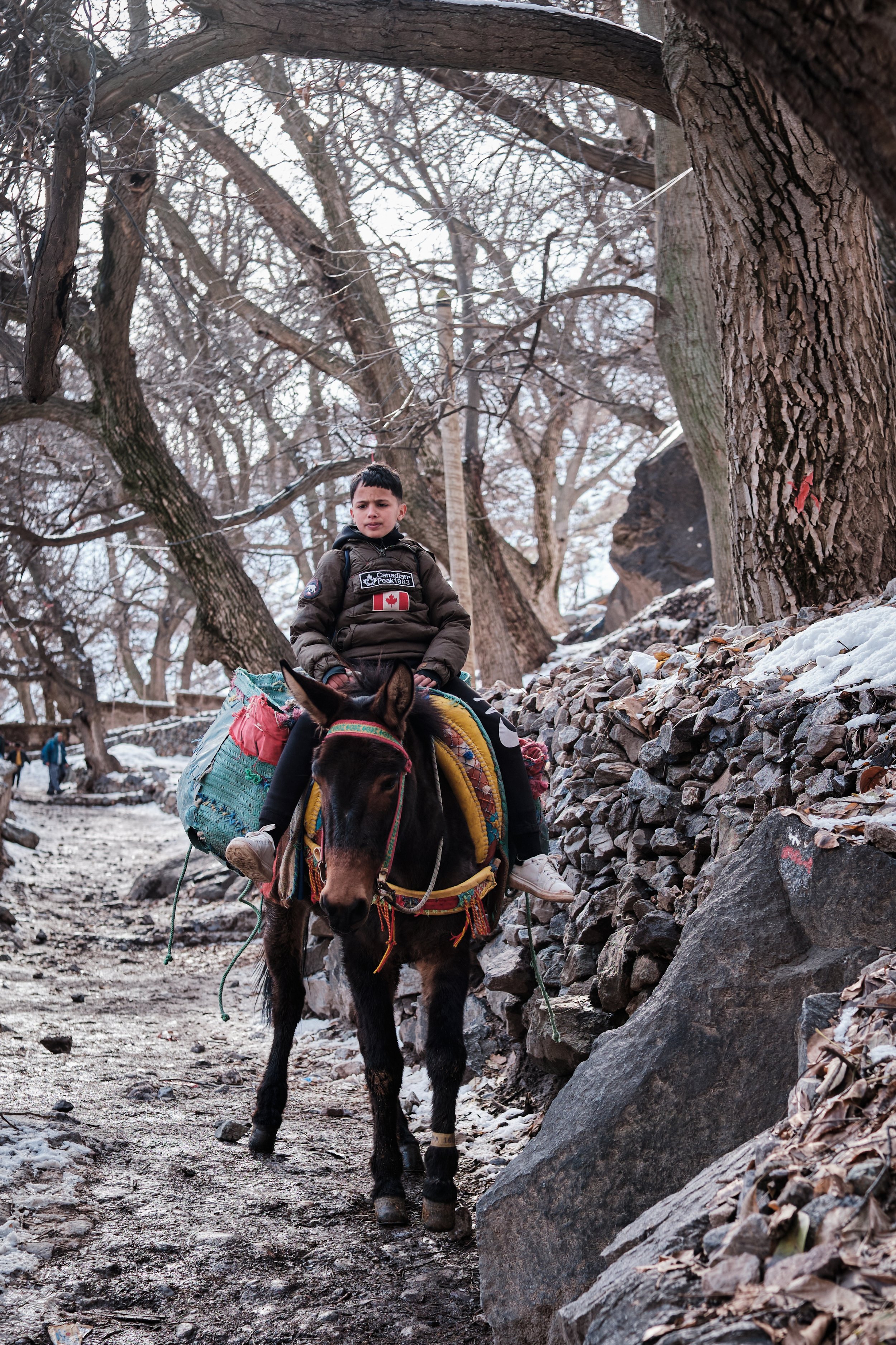 Un bambino con fisiognomia per metà triste o preoccupata, indossa una giacca ebrea con cappuccio, in sella a un cavallo con fieno e un'imboccatura.