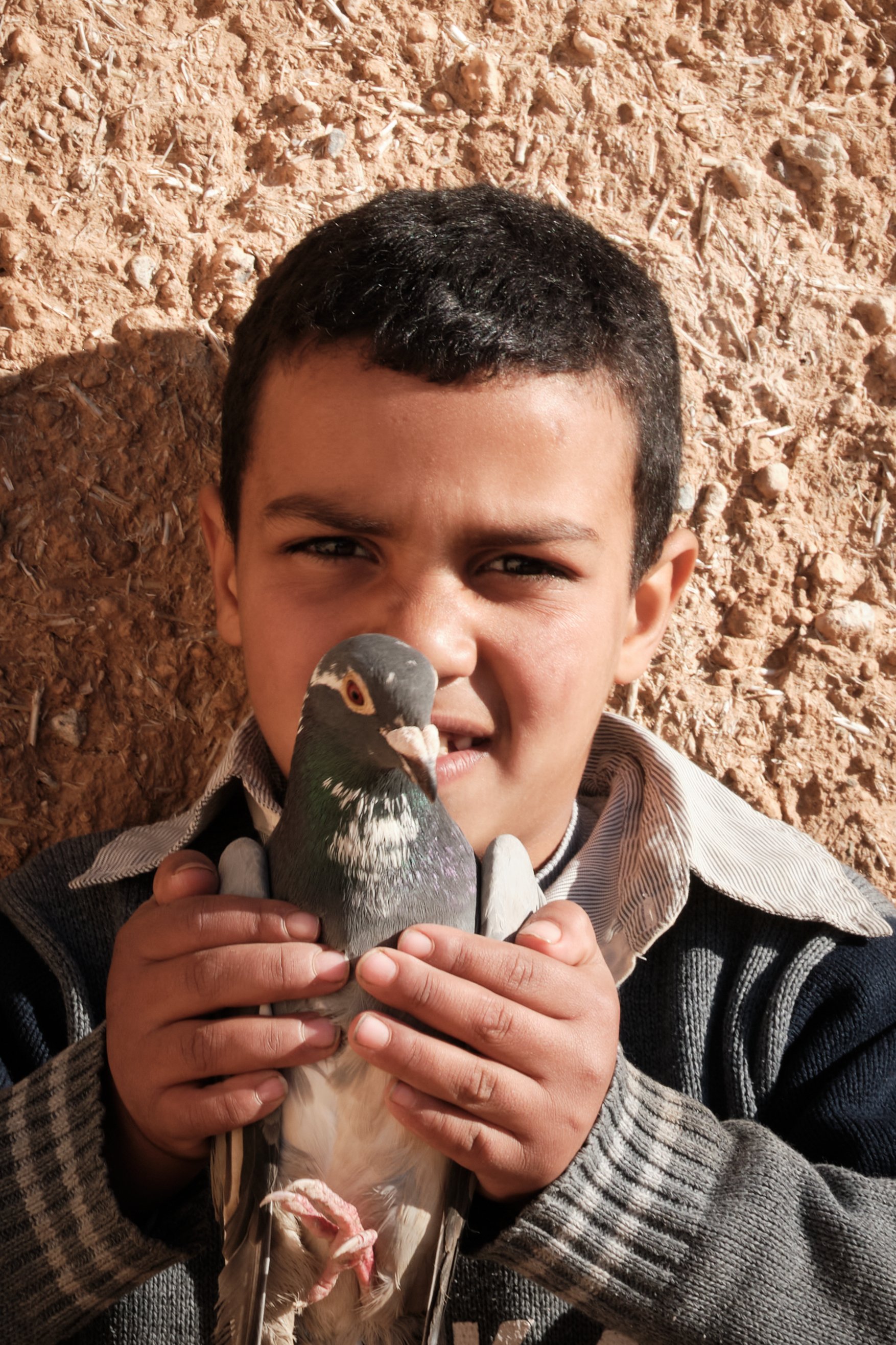 Ragazzo con cappellino che tiene un Colombaccio in mano davanti a uno sfondo di terra arida.