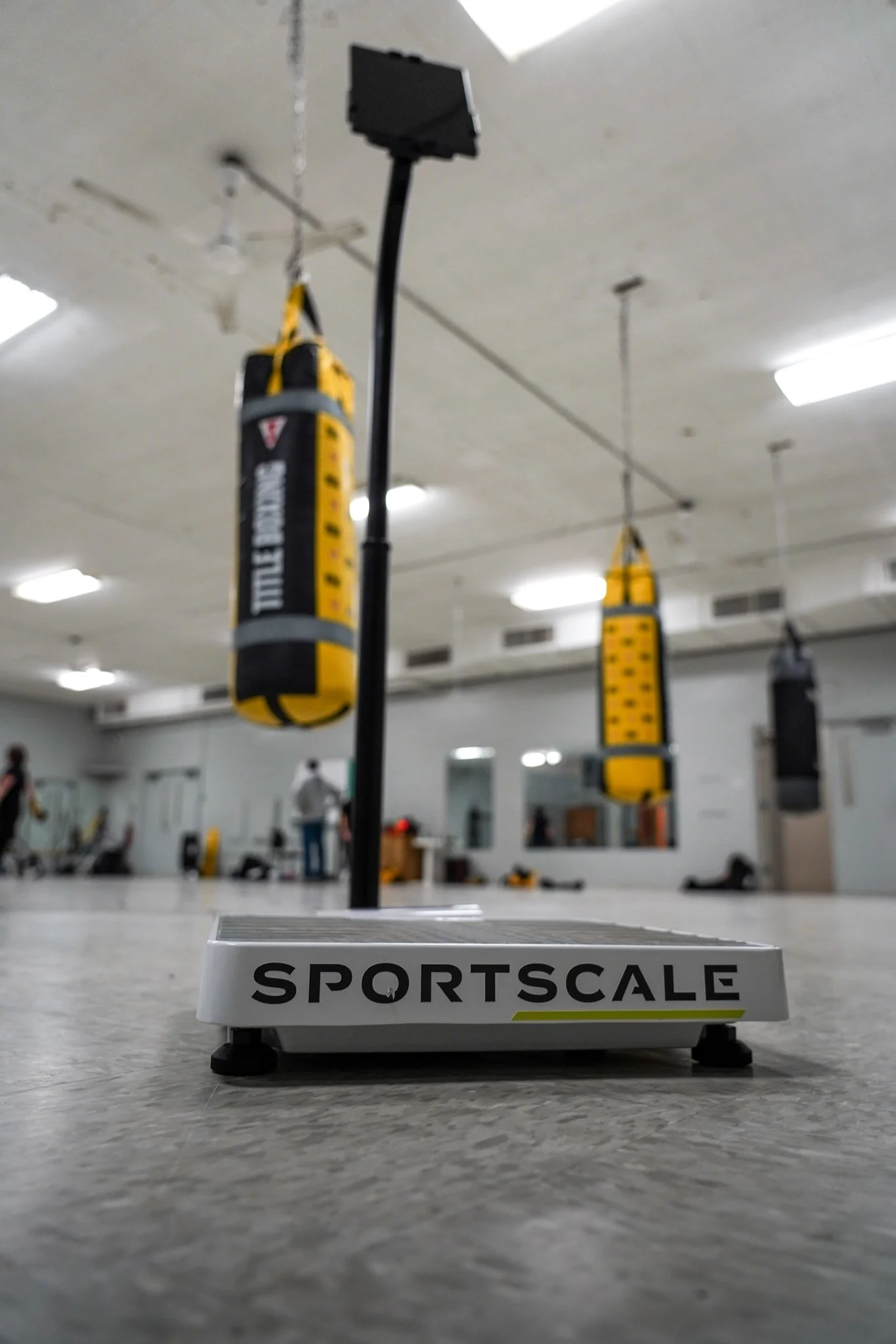 scale for sports team