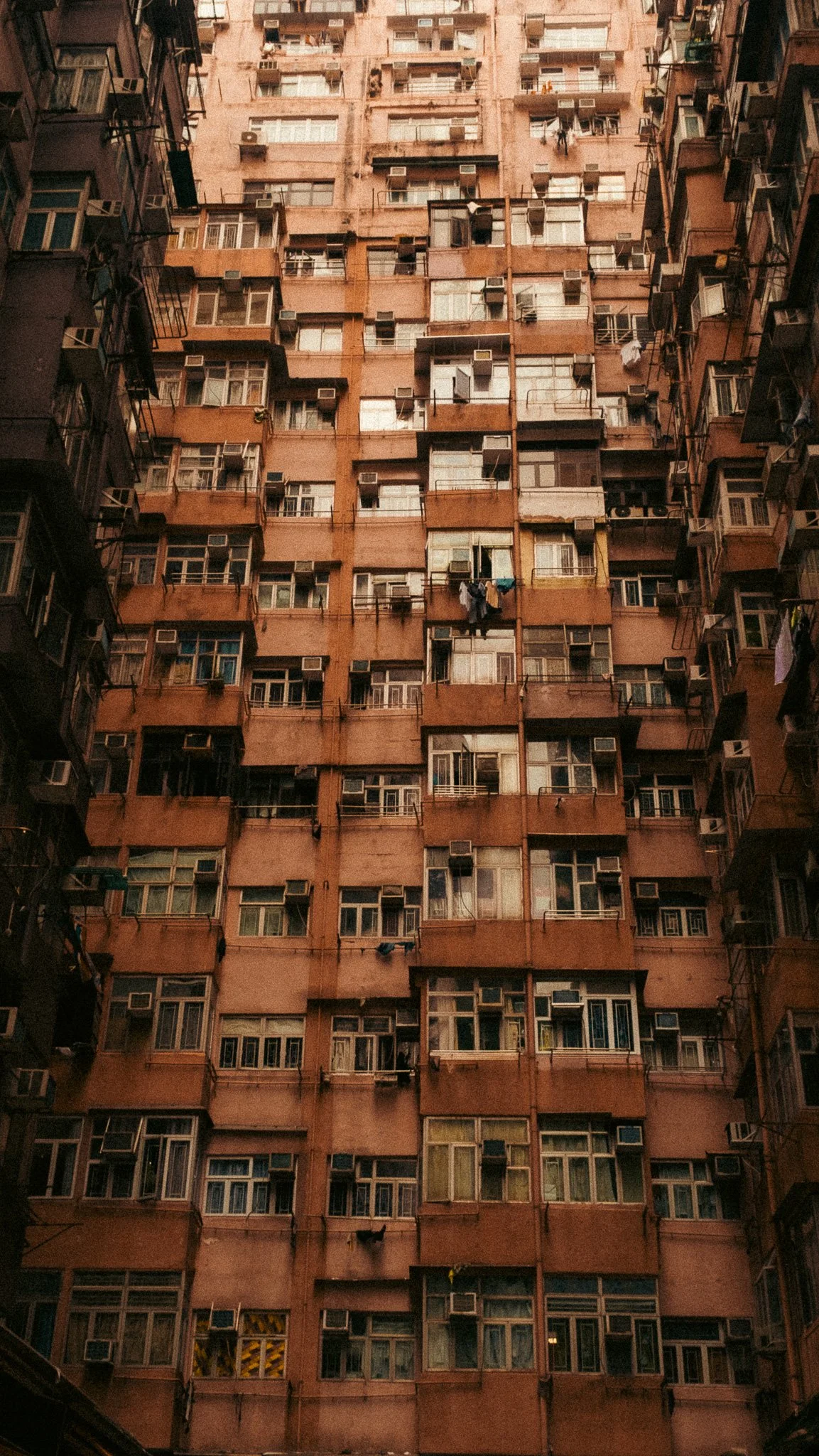 DSCF8154.jpg