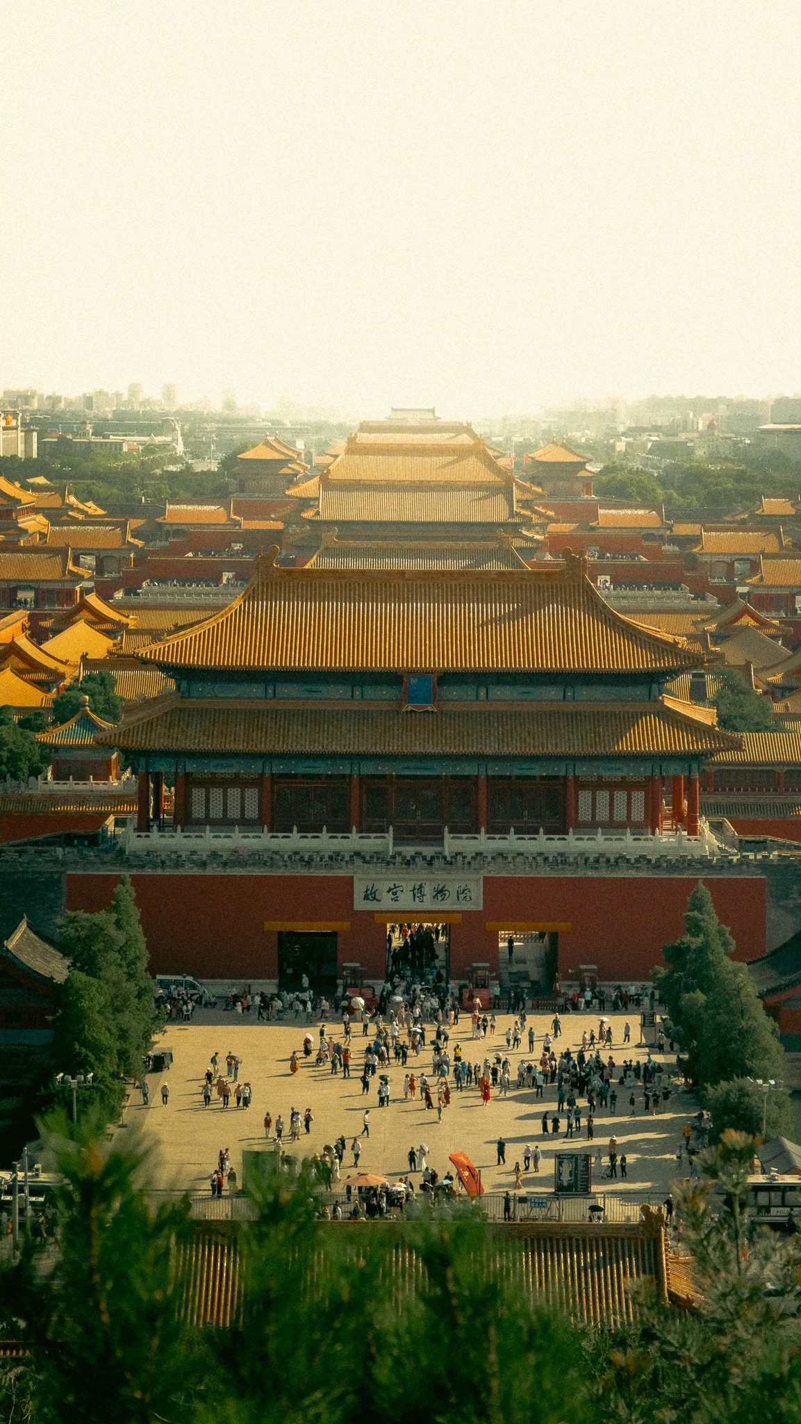 DSCF8267.jpg