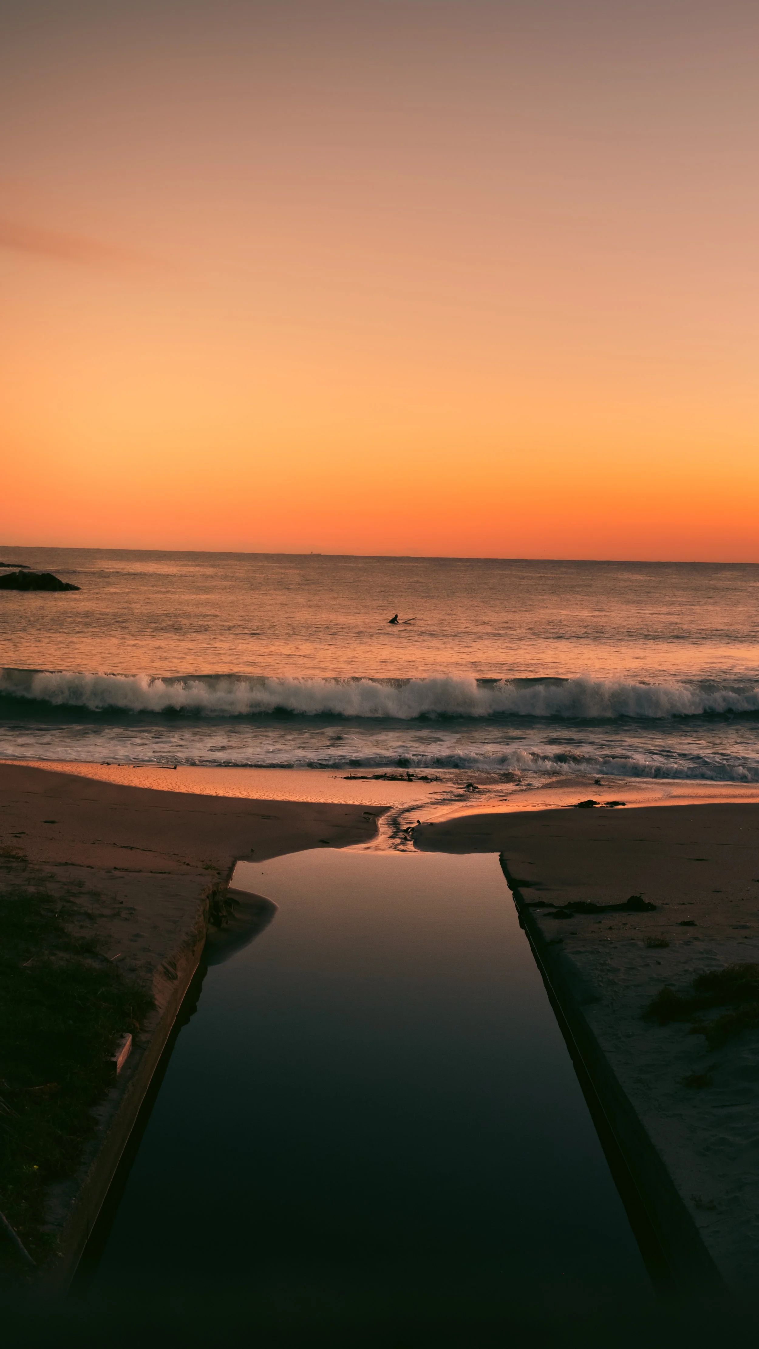 DSCF9255.jpg