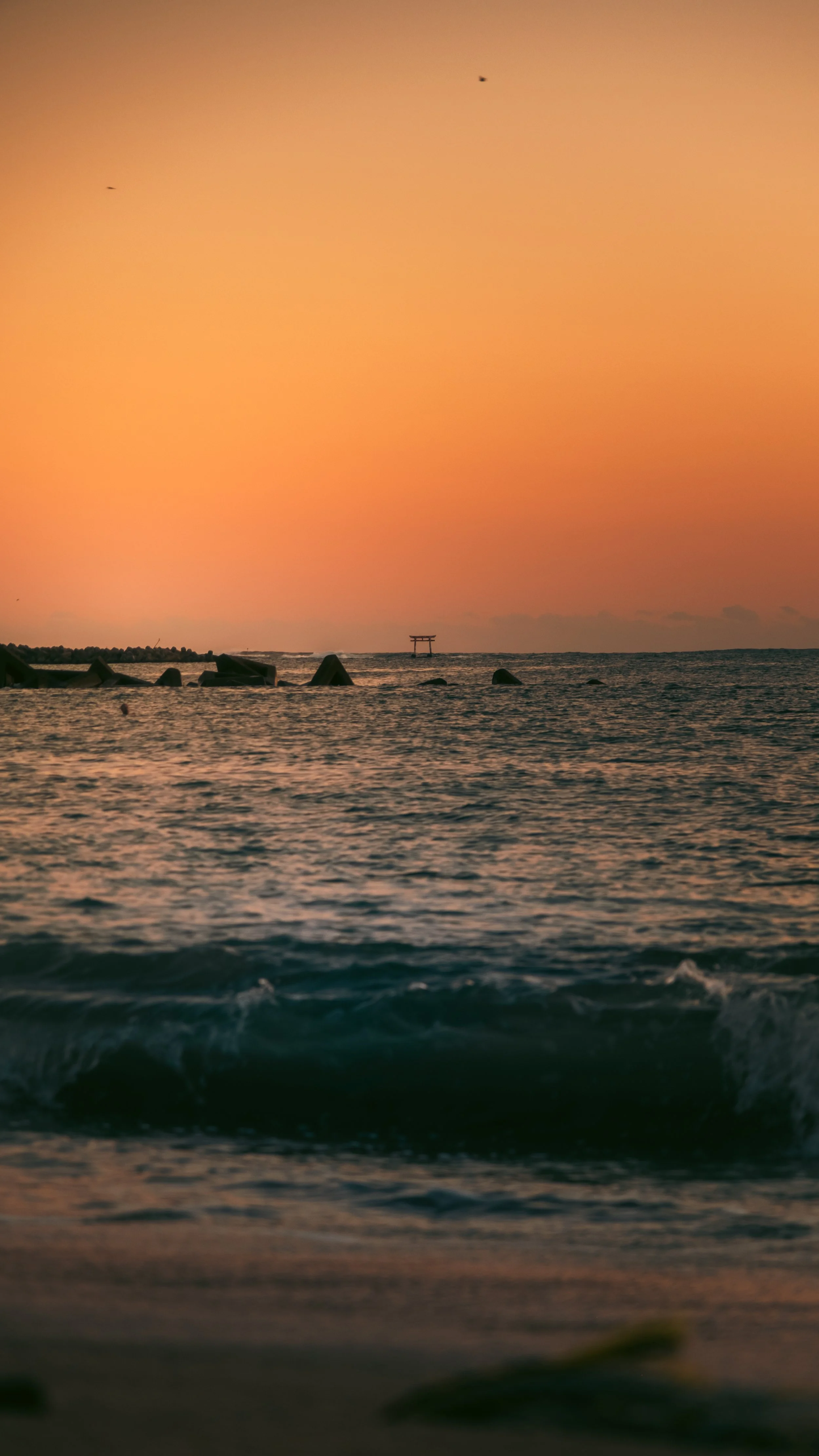 DSCF9230.jpg