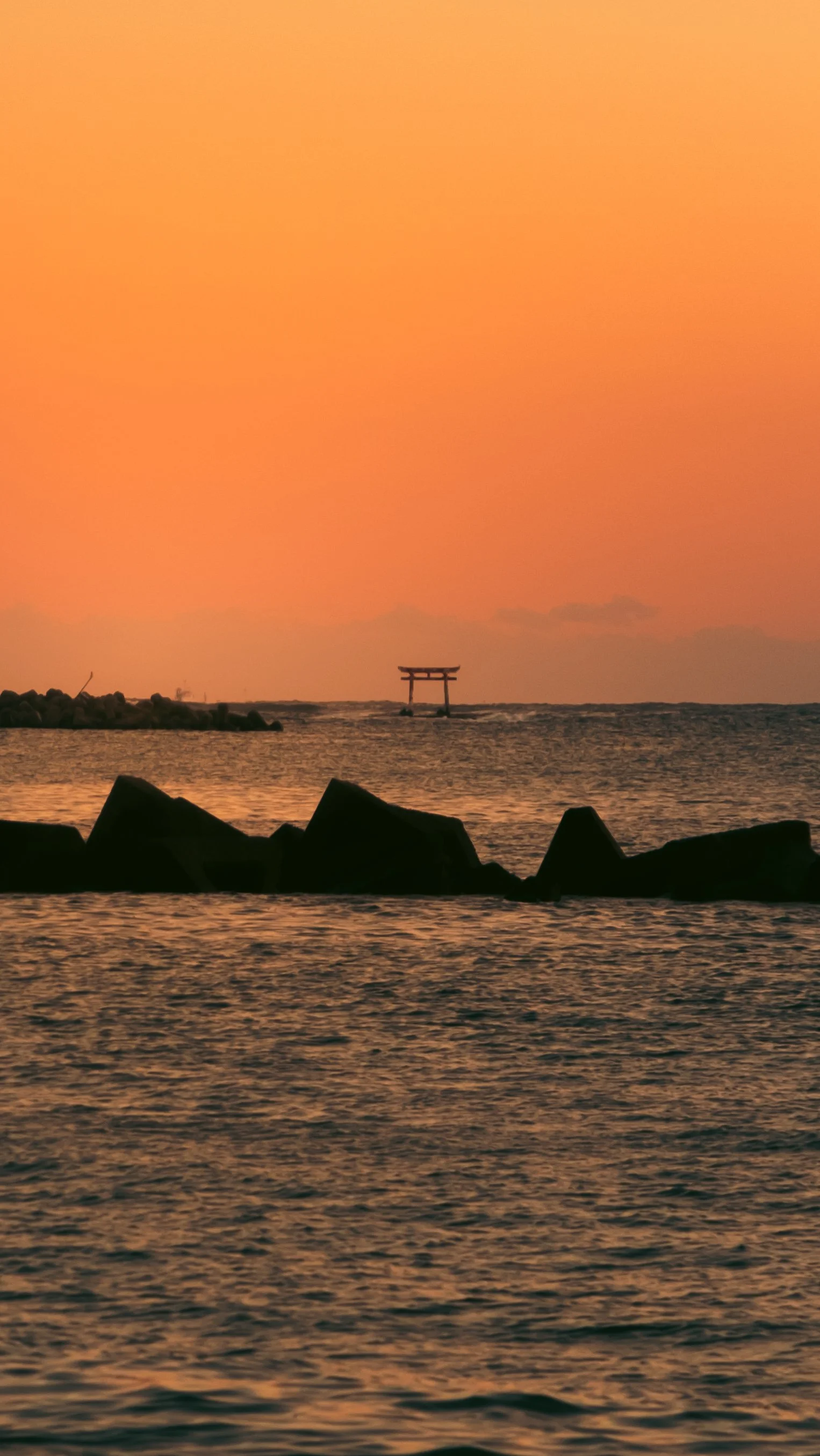 DSCF9226.jpg