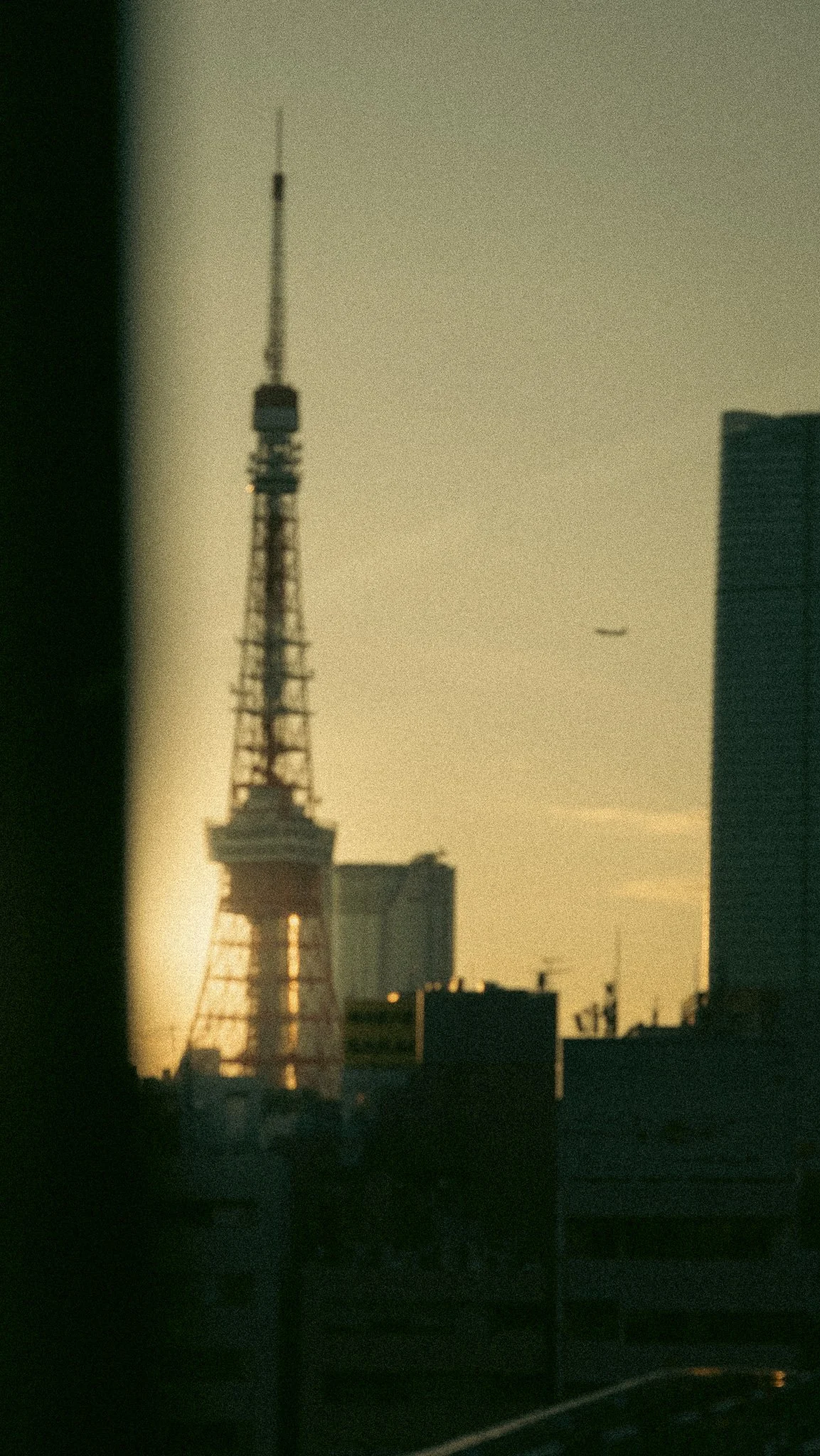 DSCF9331.jpg