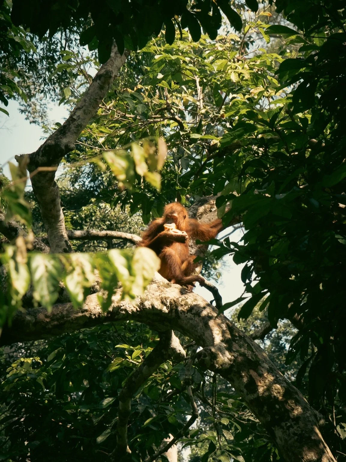 DSCF6564.jpg