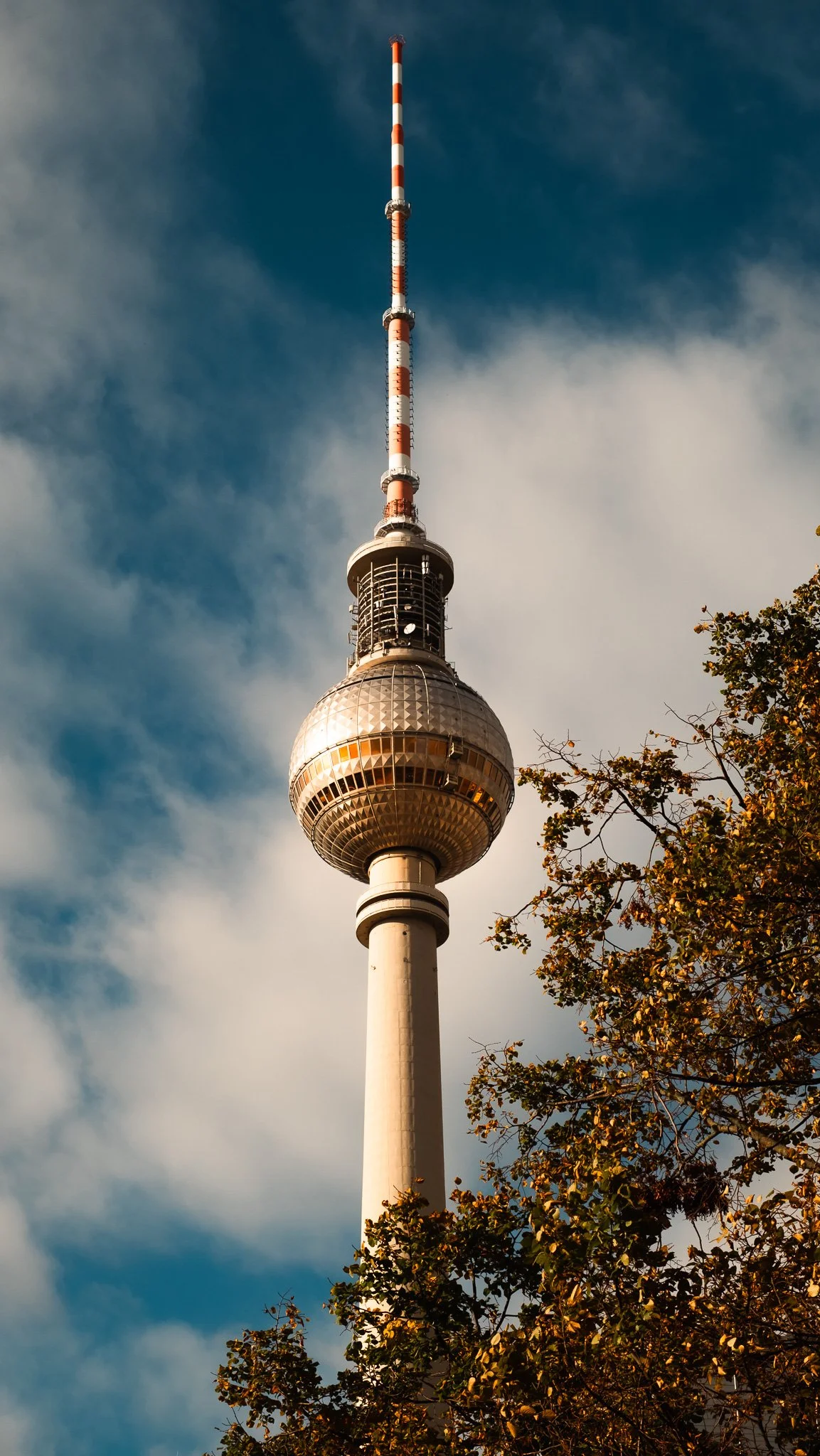 DSCF4290.jpg