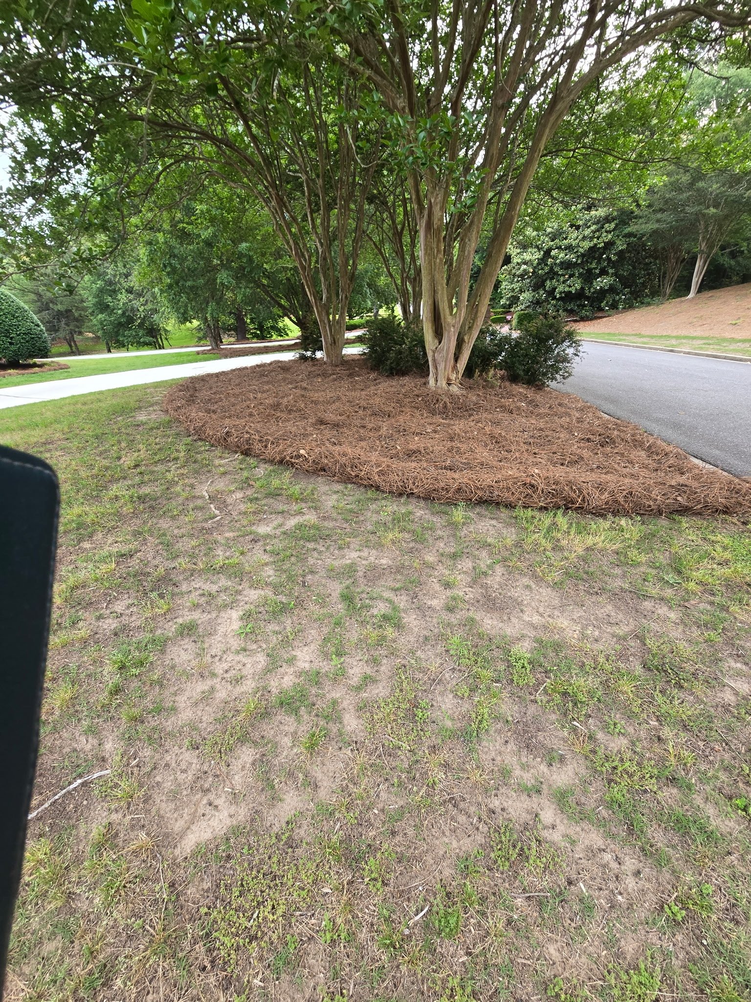 A landscaped area with a mulched flower bed enclosing several trees and shrubs, adjacent to a curved asphalt road and a sidewalk, with grass and other trees in the background.