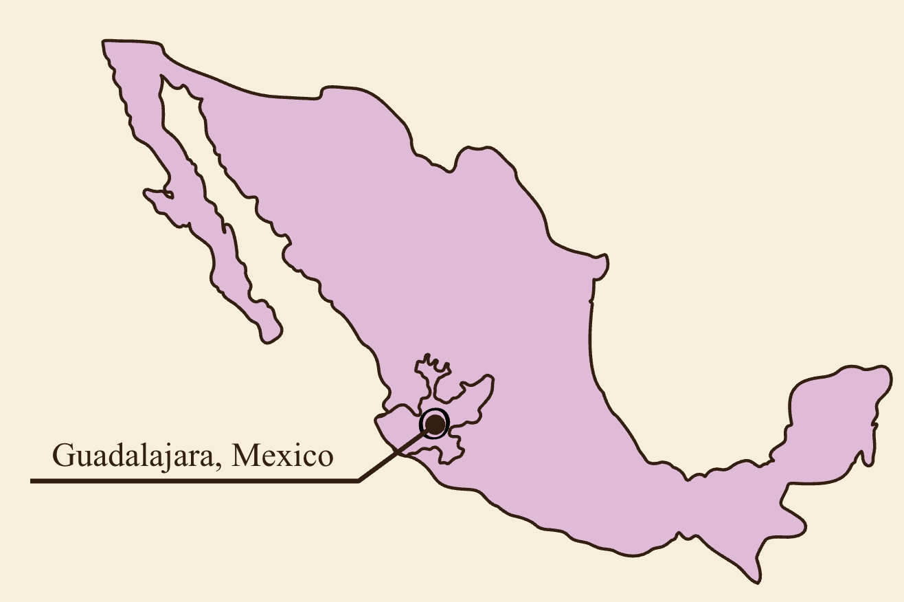 Guadalajara on Mexico map