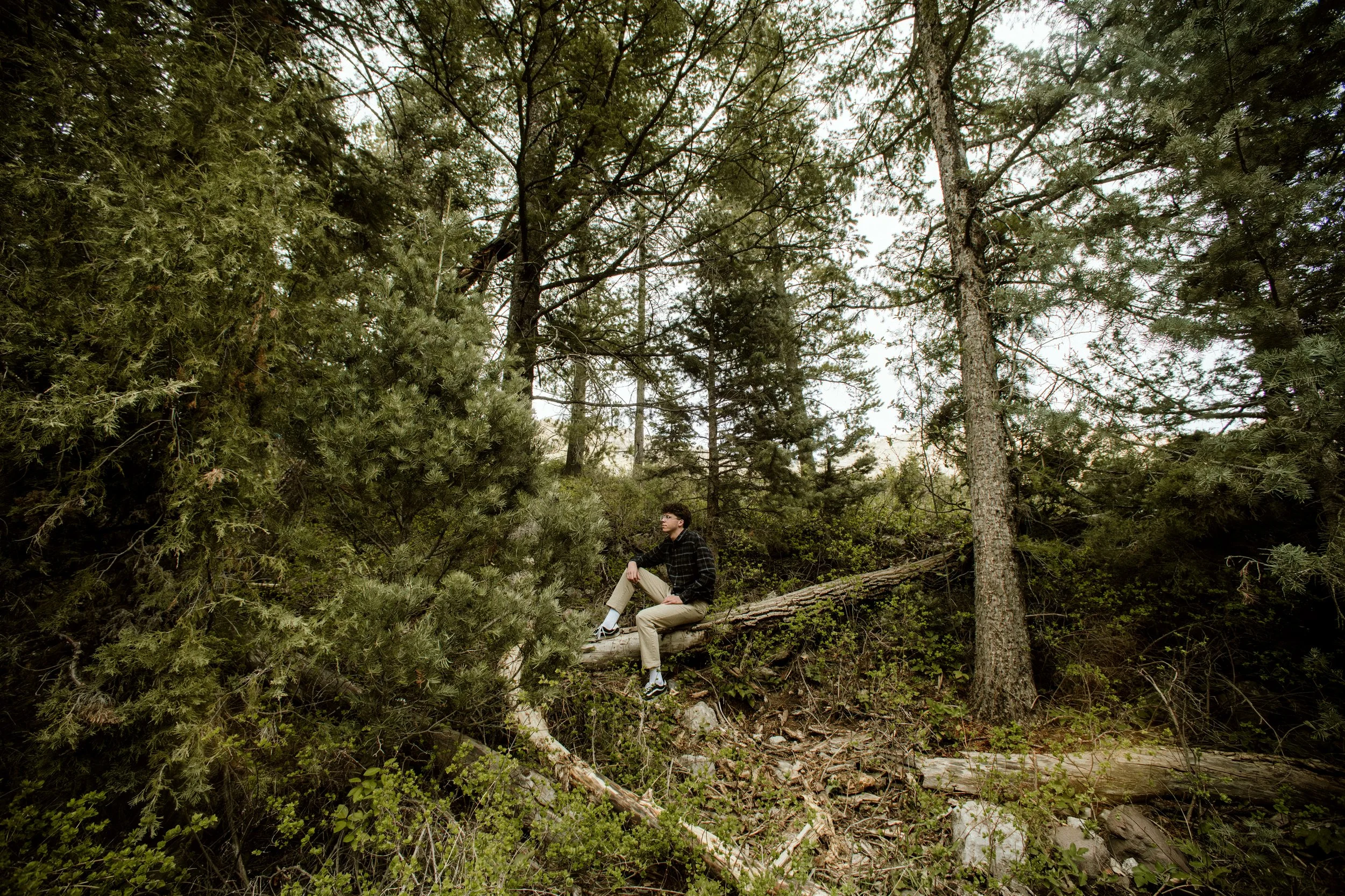 A young man with glasses and dark hair sitting on a fallen tree in a dense forest with tall pine trees and green foliage.