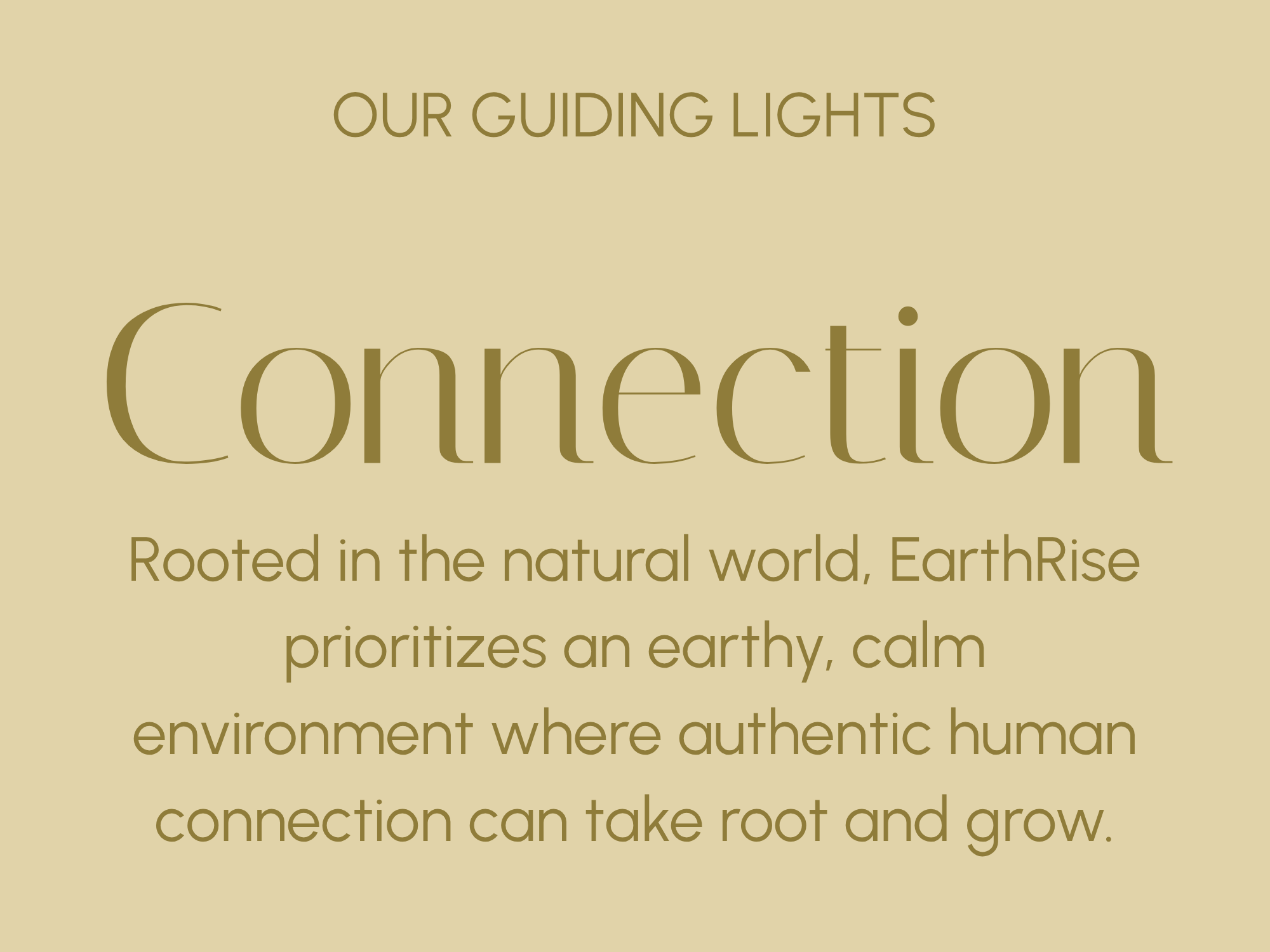 OUR GUIDING LIGHTS (2).png