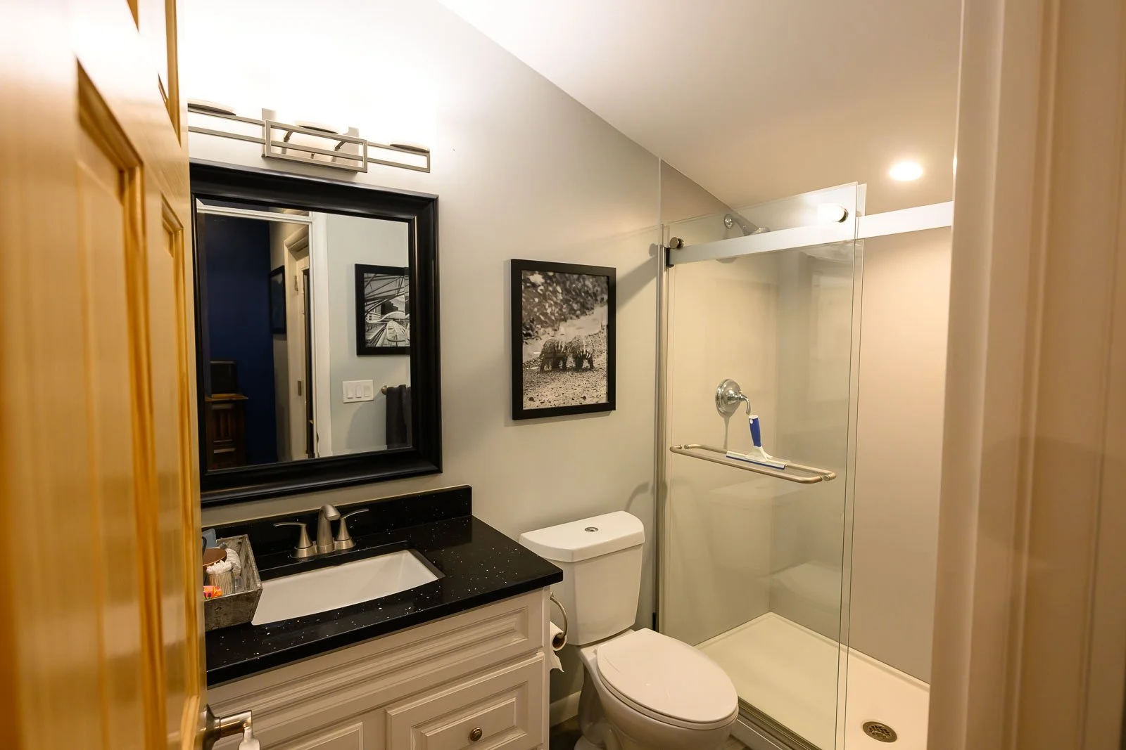 A bathroom with a black-framed mirror, a black countertop with a white sink, a framed black-and-white photo of elephants on the wall, a toilet, and a glass-enclosed shower with a handheld showerhead.