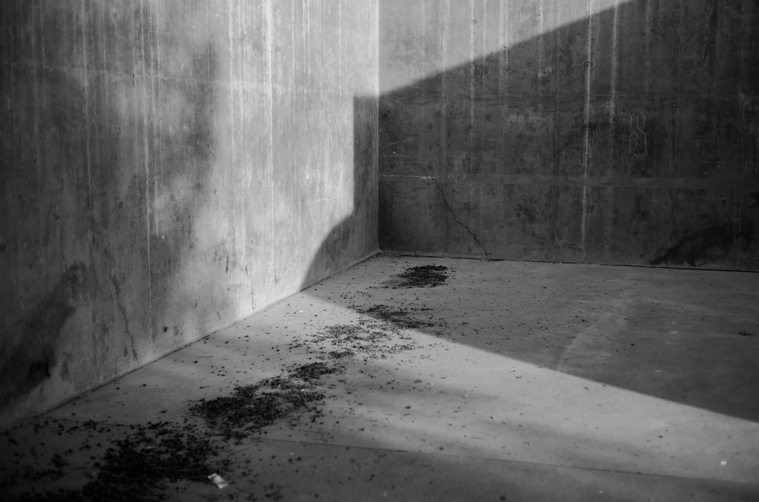L1015670 Edited.jpeg