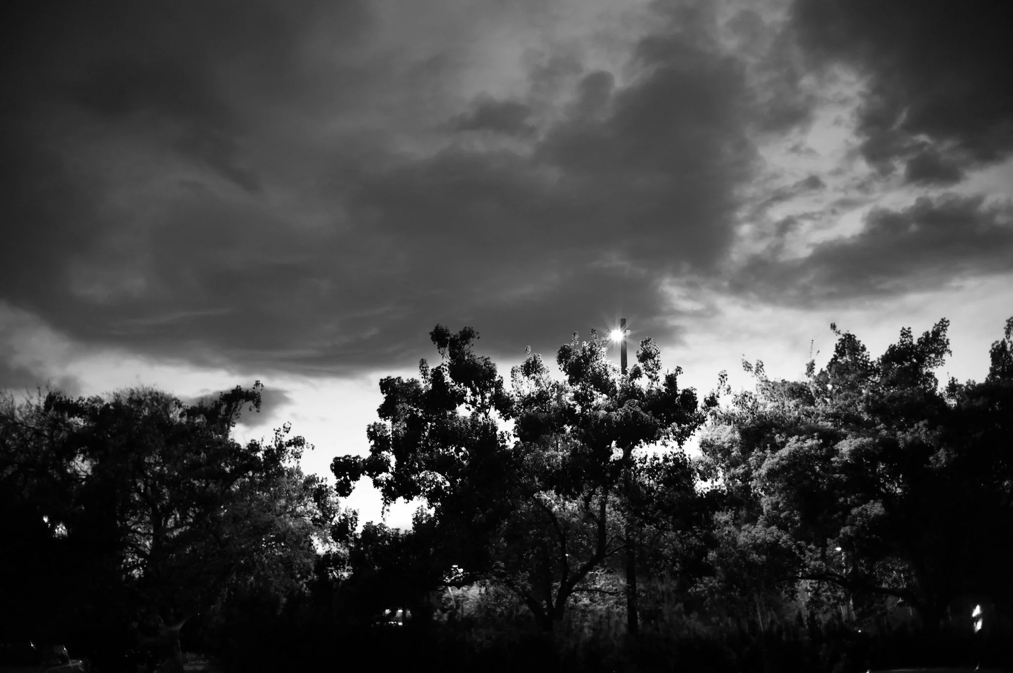 IMG_1342.jpeg