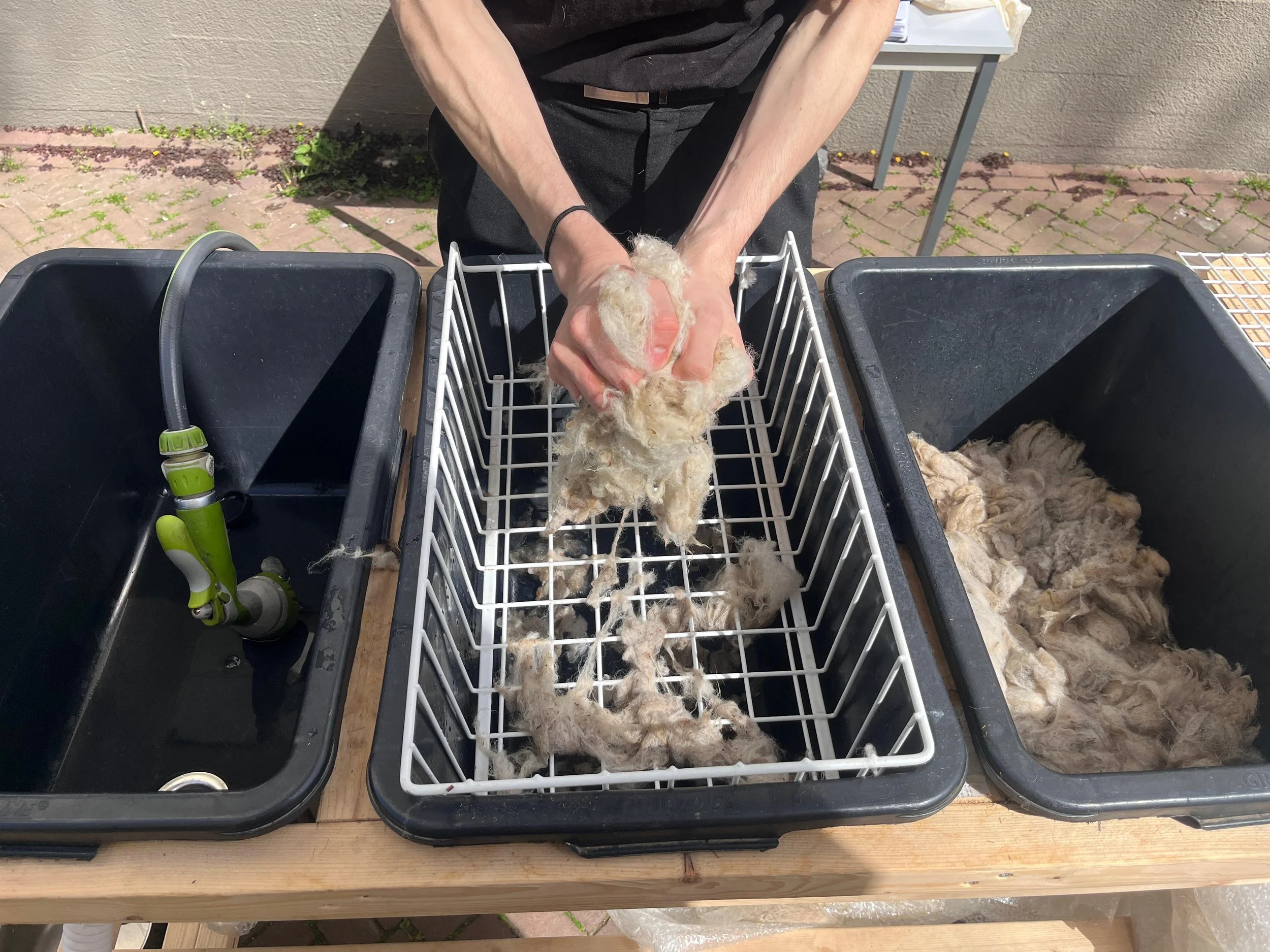 washing.jpeg
