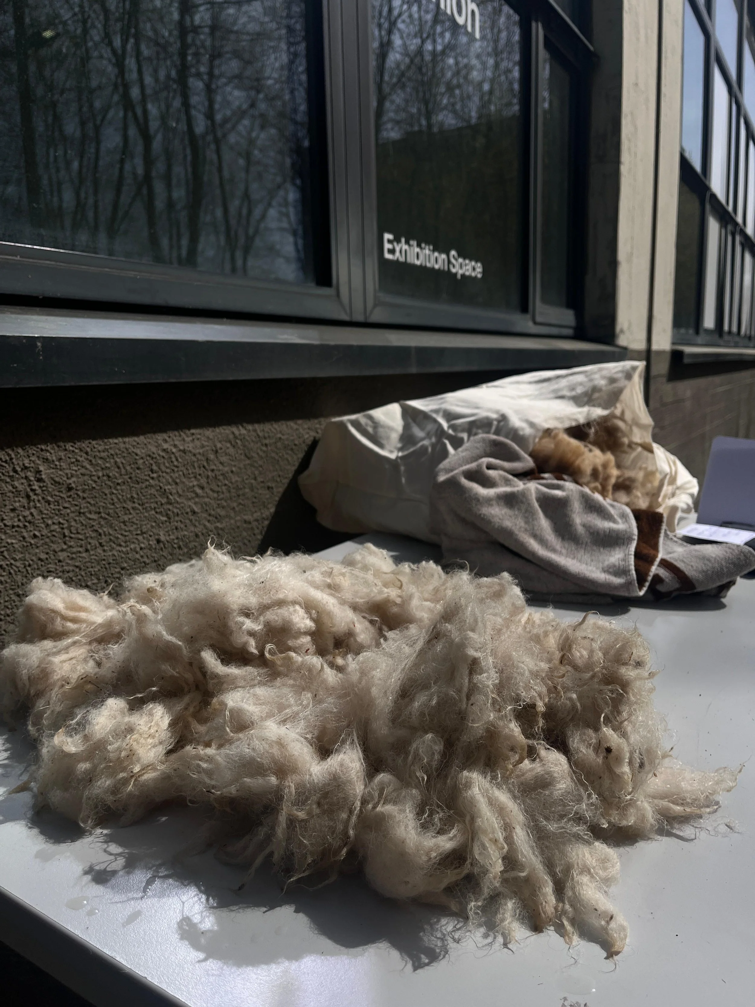 drying.jpeg