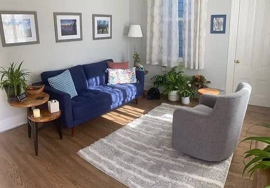 Living room with a navy sofa, a gray armchair, a patterned area rug, potted plants, a wooden side table, framed pictures on the wall, a window with white curtains, and a floor lamp.