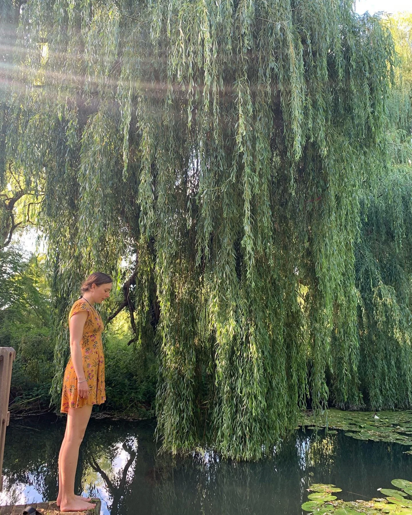 #happysolstice everyone! 
Solstice is the peak of the year so is a time when we can express gratitude, and it's also the turning point towards the inner planes as after this point of the longest day and shortest night we begin our return to balance w