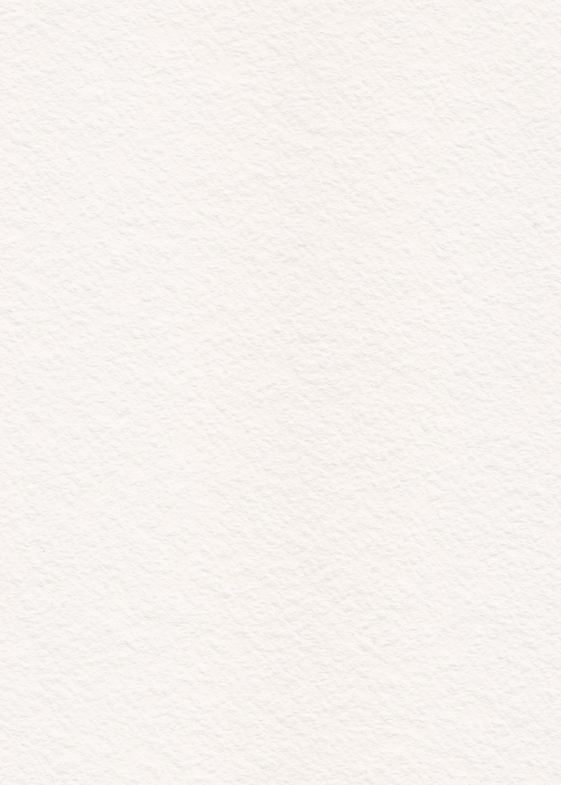 Empty white textured paper background.