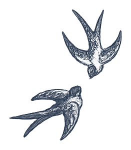 Silhouette of two stylized birds in flight against a black background.