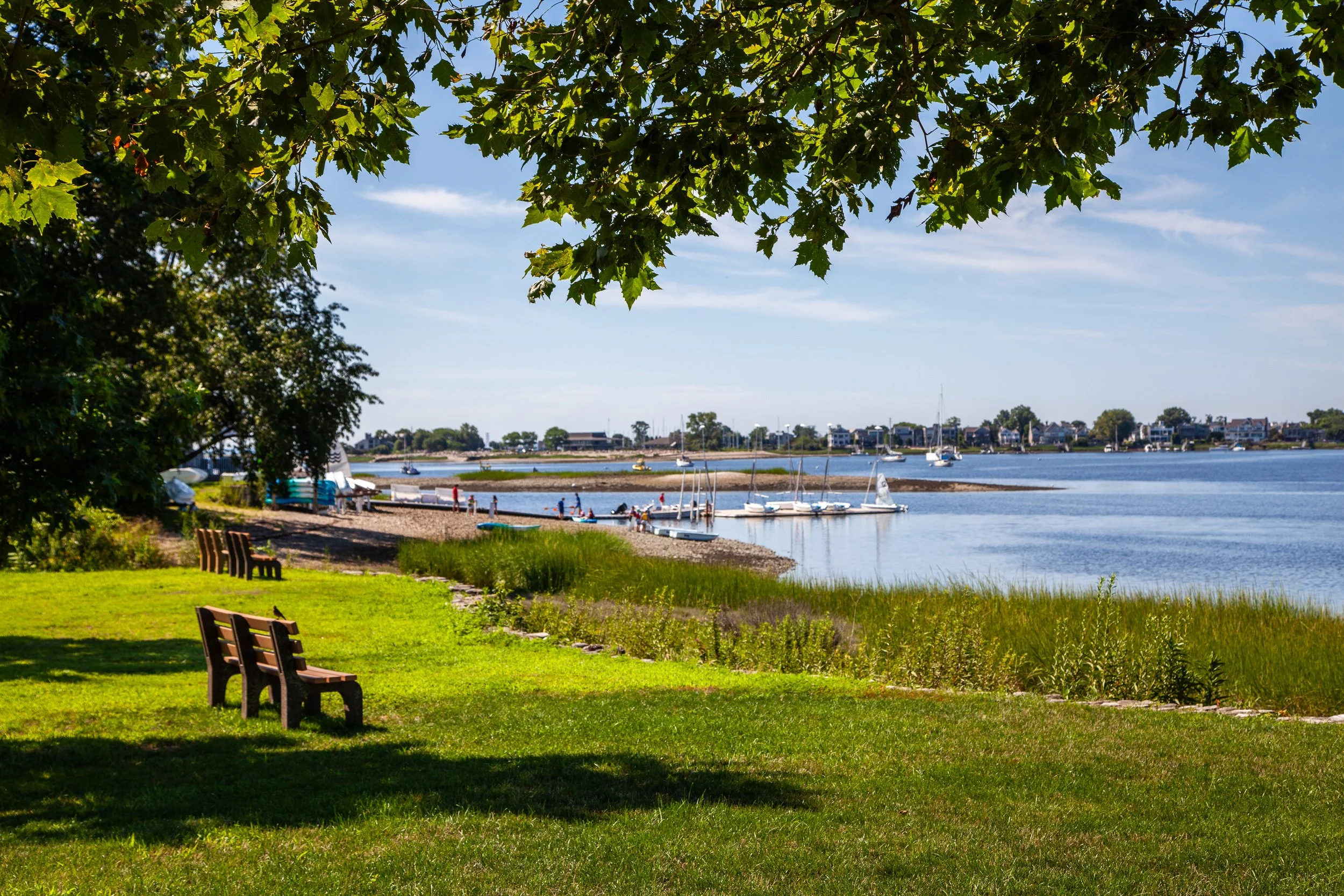 A scenic view of a lakeside park with green grass, benches, and a large tree providing shade in the foreground. The lake contains sailboats and is bordered by houses and boats in the background under a partly cloudy sky.