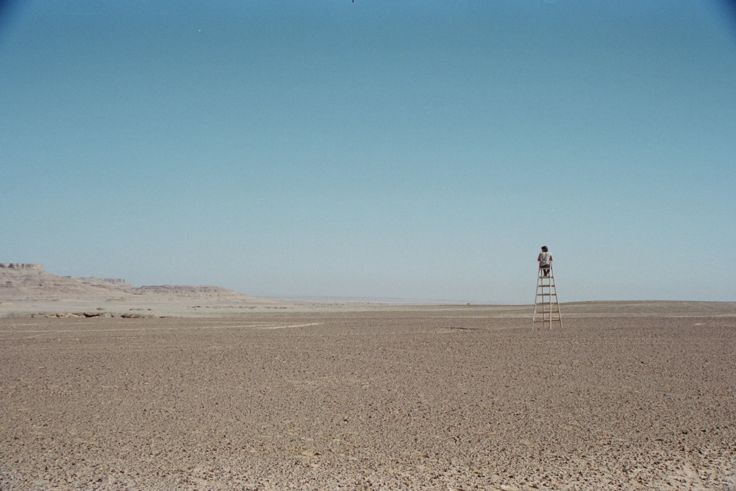 7431 Portra 401.JPG