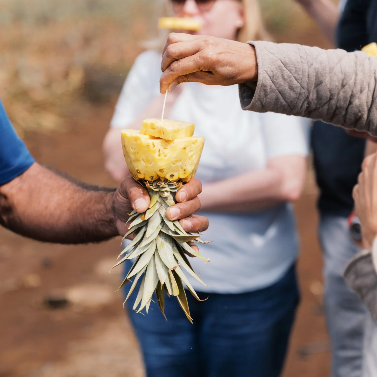 People holding a pineapple with the top cut off, showing the pineapple's flesh, while others in the background watch.