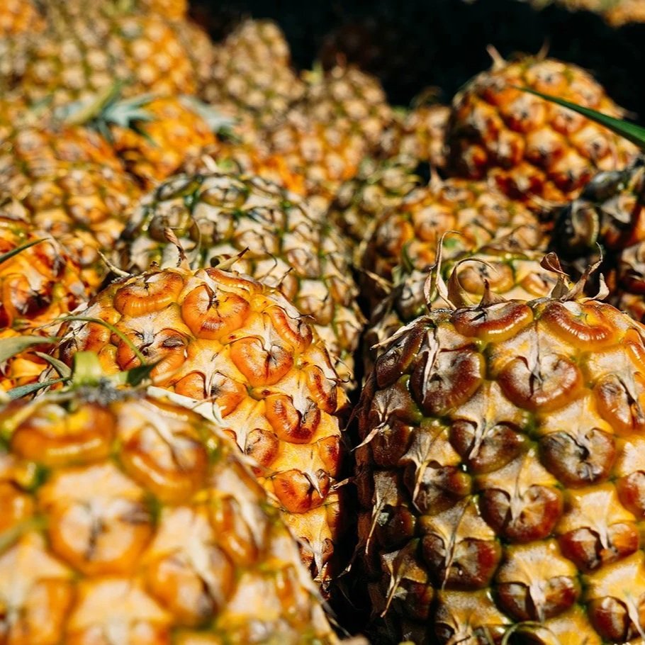 maui-gold-pineapples-shell-color.jpg