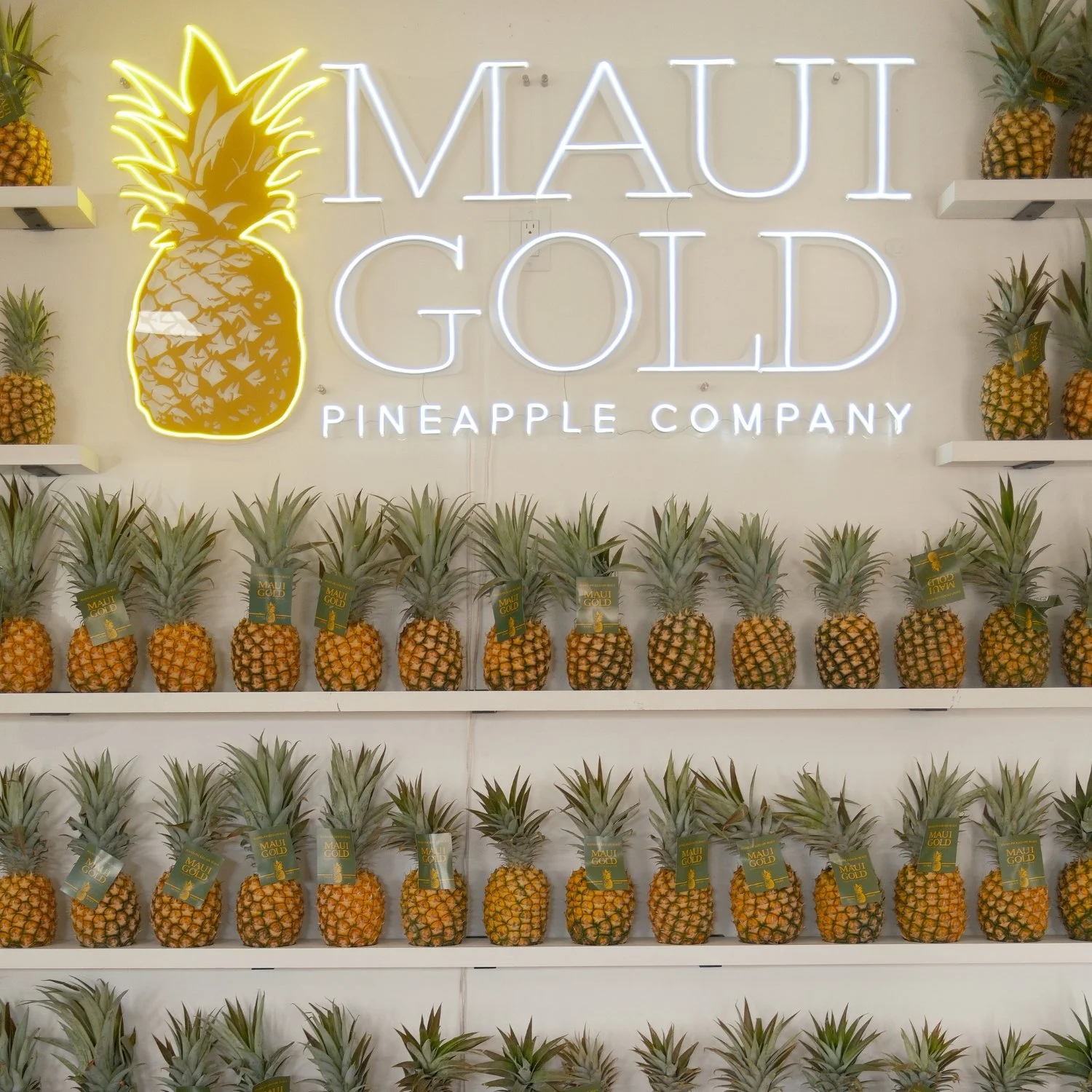 Display of pineapples arranged on white shelves with a neon sign that reads 'Maui Gold Pineapple Company' and a pineapple graphic