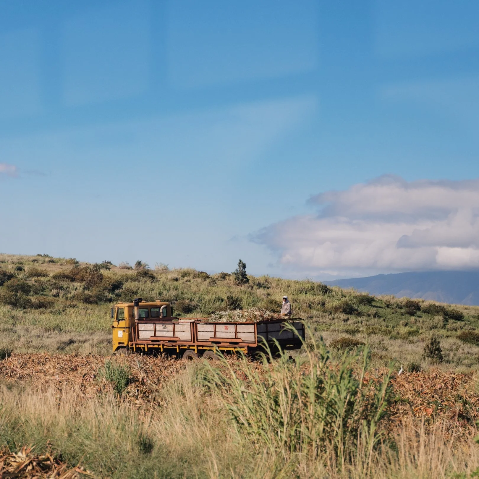 A yellow flatbed truck on a grassy field with a person standing on the truck bed. Surrounding landscape includes green hills, shrubs, and mountains under a partly cloudy sky.