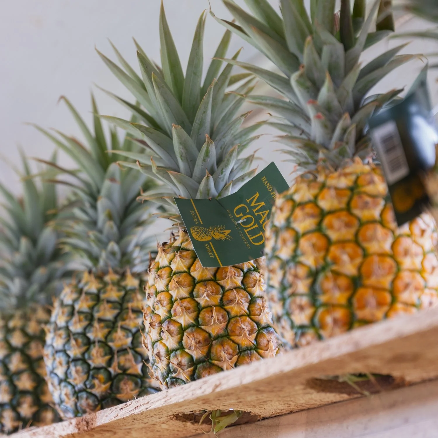 A row of pineapples on display, with one pineapple in the foreground showing a green tag that reads 'NAIAD GOLD, Pineapple, Sweet, Edible, Produces'.