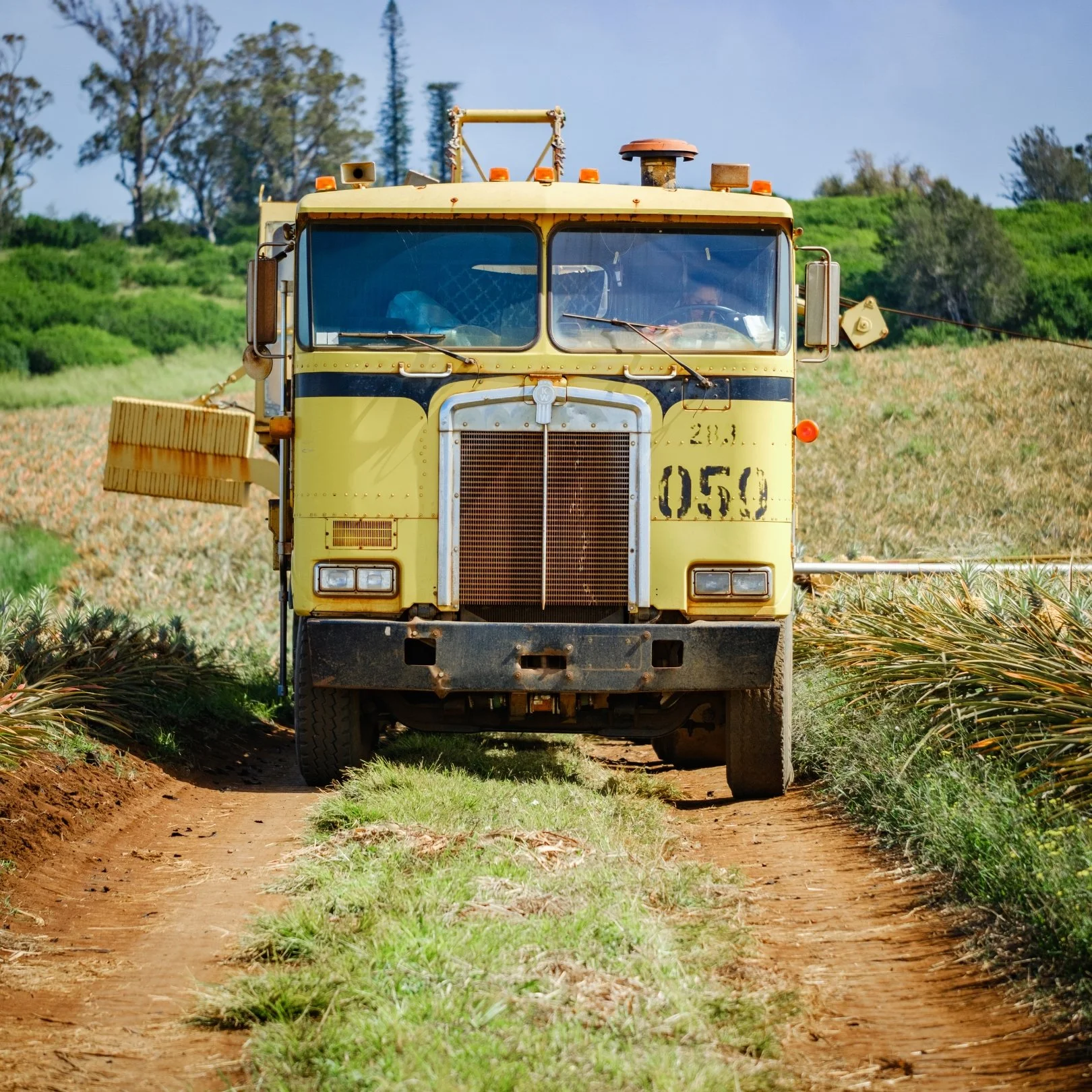 A yellow construction or agricultural vehicle driving on a dirt path through a field with green crops, with trees and hills in the background.