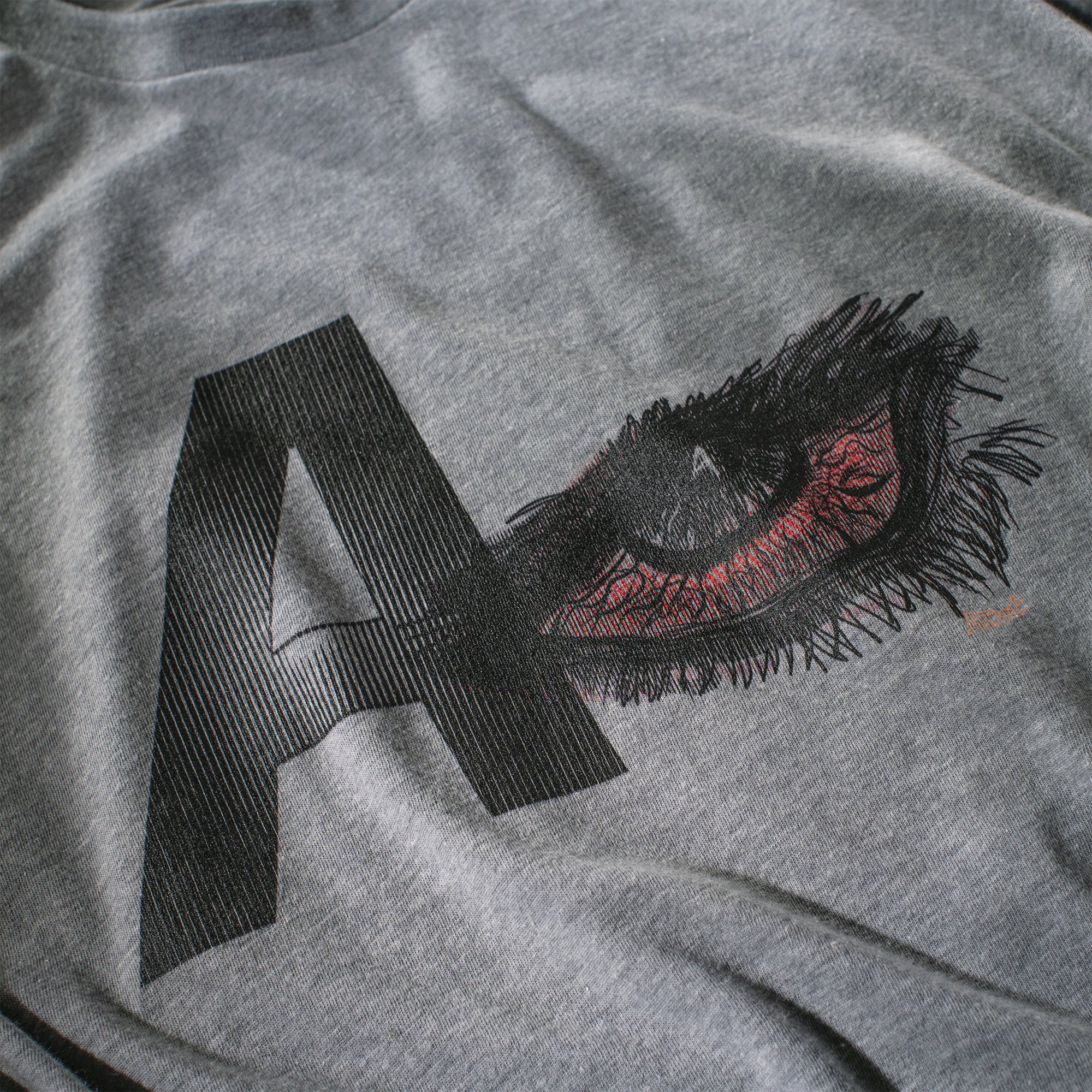 AInt-A-Eye-T-shirt detail-front-graphic.jpg