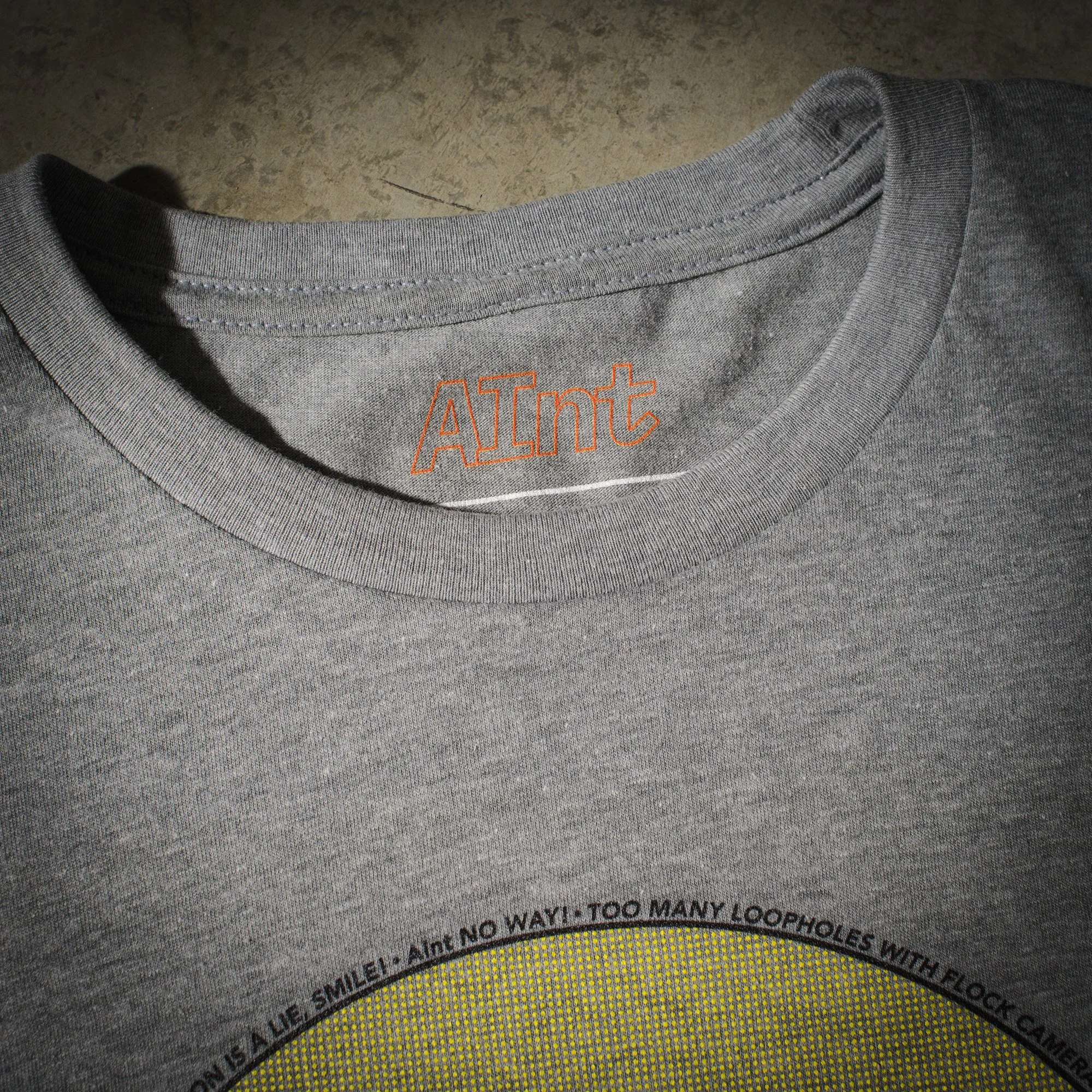 AInt-t-shirt-next-level-6210-flock-camera-protest.jpg