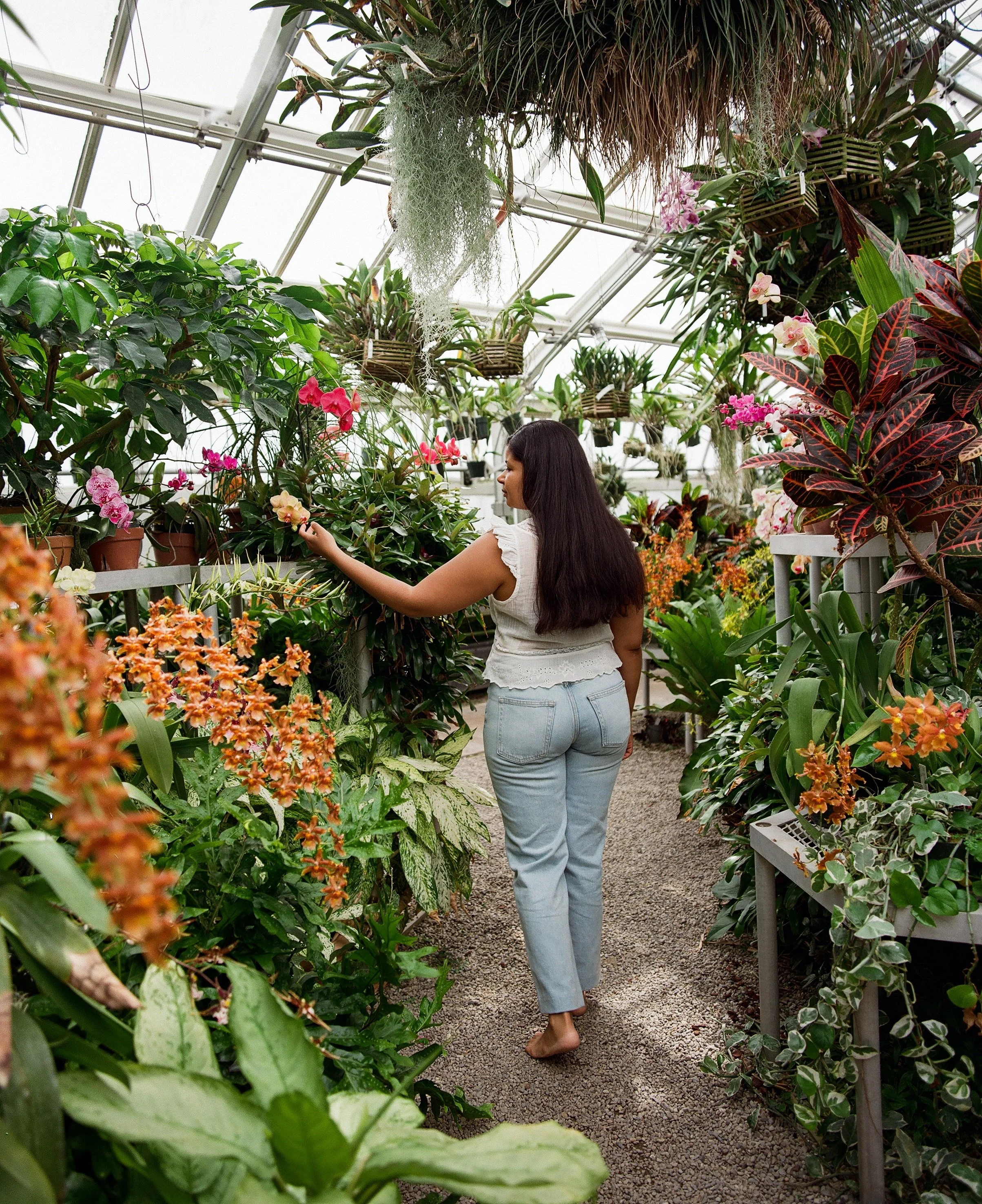 A woman with long dark hair, wearing a white sleeveless top and light blue jeans, is walking and tending to pink and white orchids in a lush greenhouse filled with various plants and flowers, with gravel pathway and metal shelving.