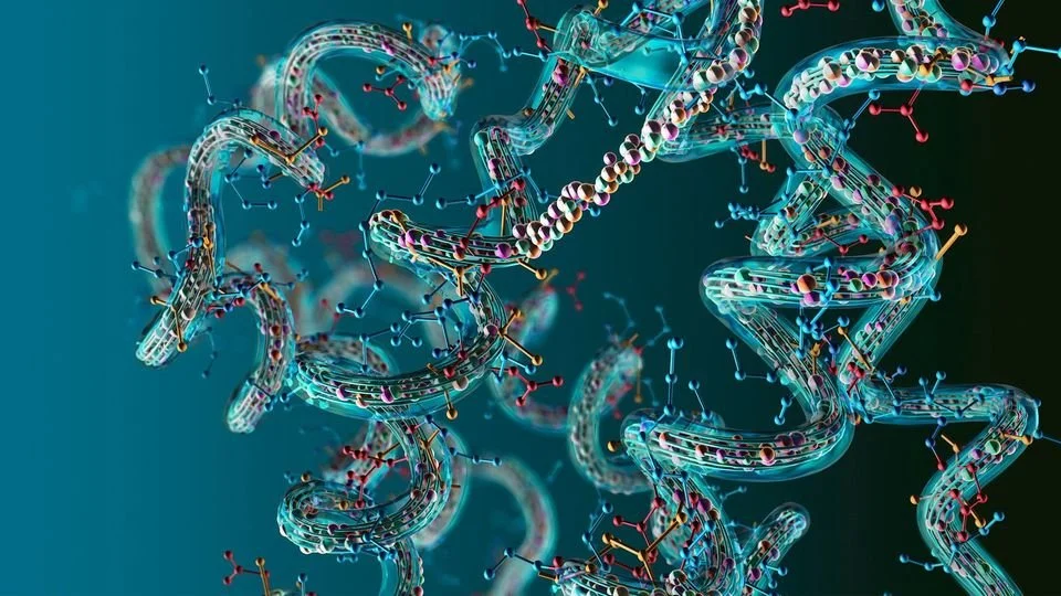 Chapter One — The New Frontier of Human Health
