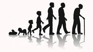 Chapter 5: The Difference Between Lifespan and Healthspan