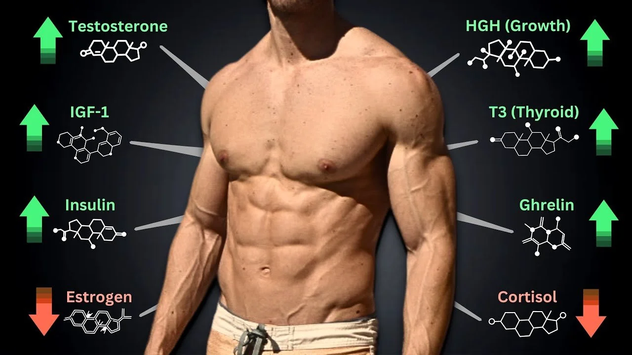 Chapter 9: Growth Hormone Pathways and Recovery