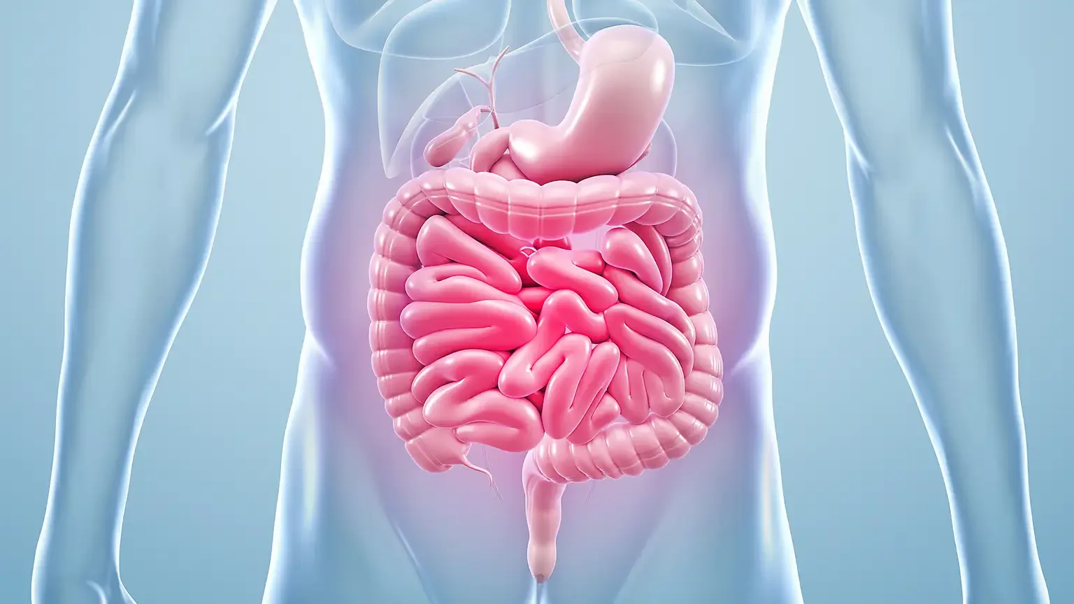Chapter 17: Gut Health and the Future of Medicine