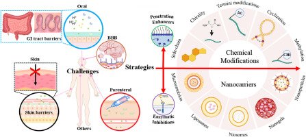 Chapter 27: AI, Biotechnology, and Human Lifespan
