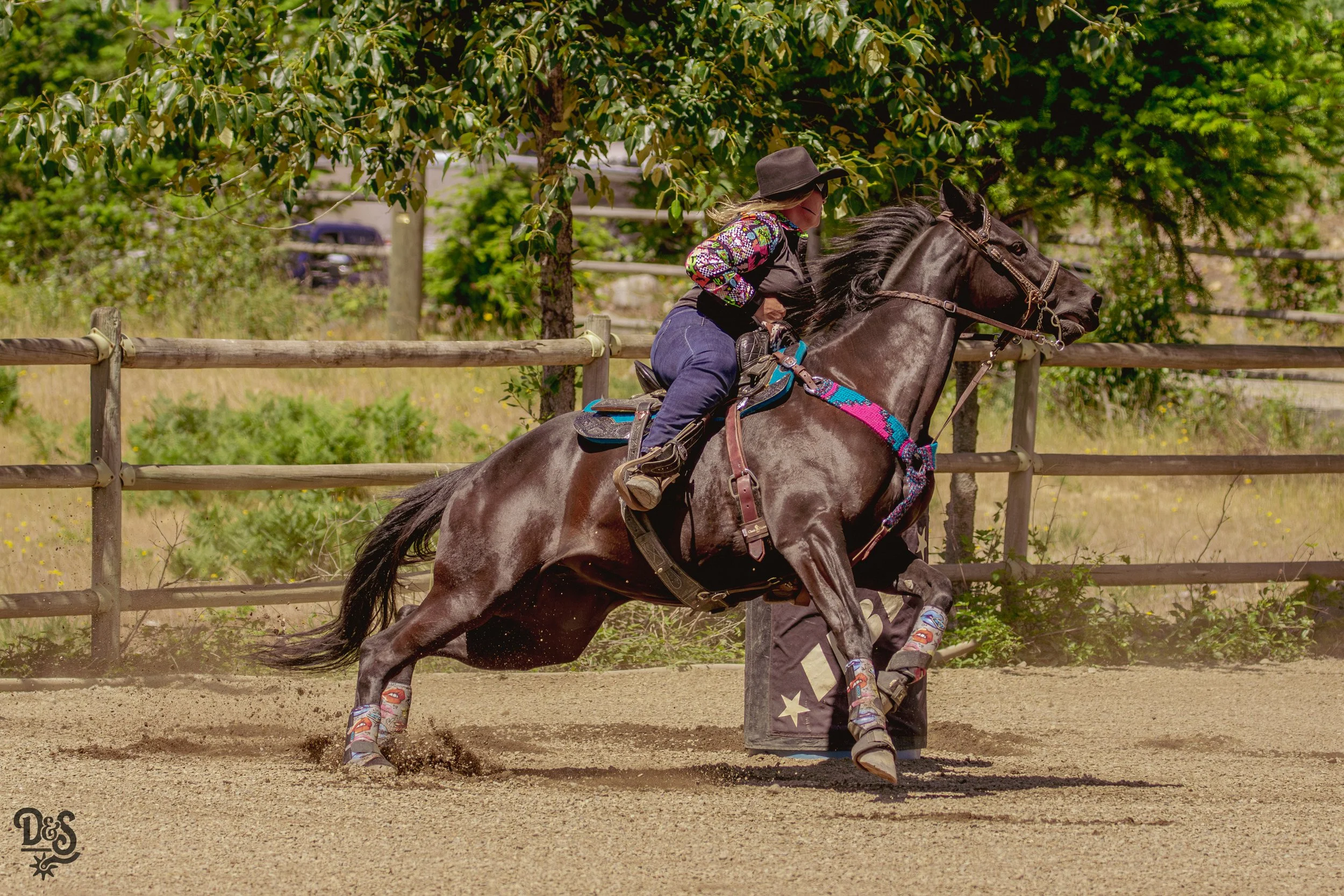 A young girl riding a black horse in an outdoor riding arena, with a wooden fence and green trees in the background.