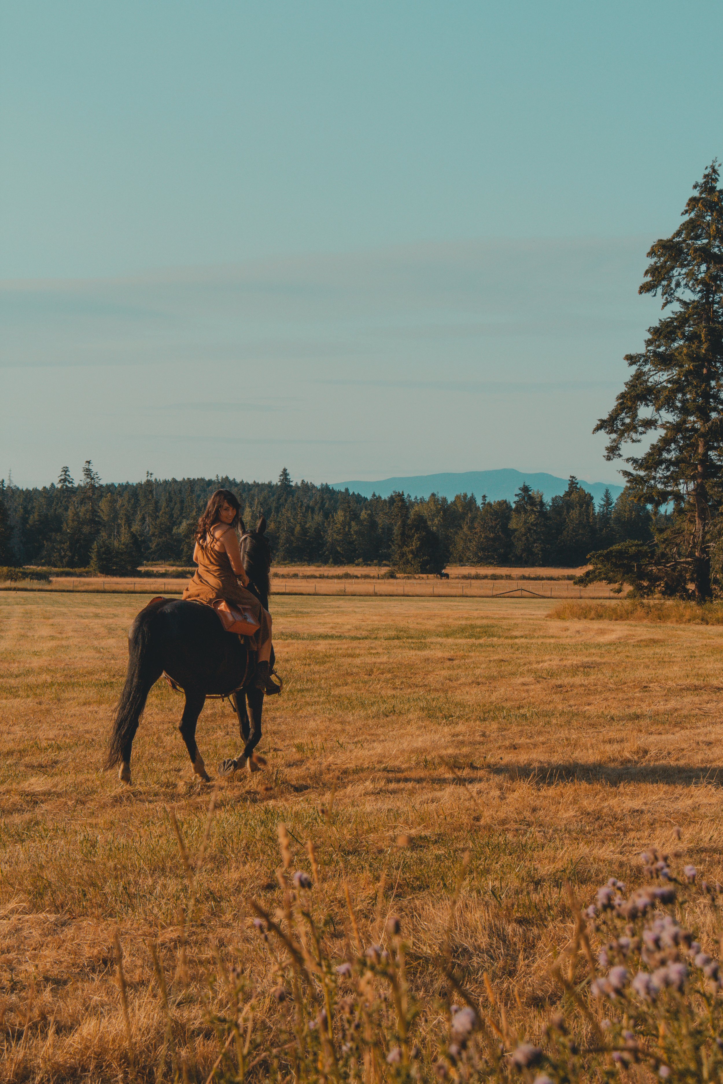 A woman in a brown dress riding a black horse across a grassy field during sunset. Tall trees line the horizon with mountains in the distance under a clear sky.