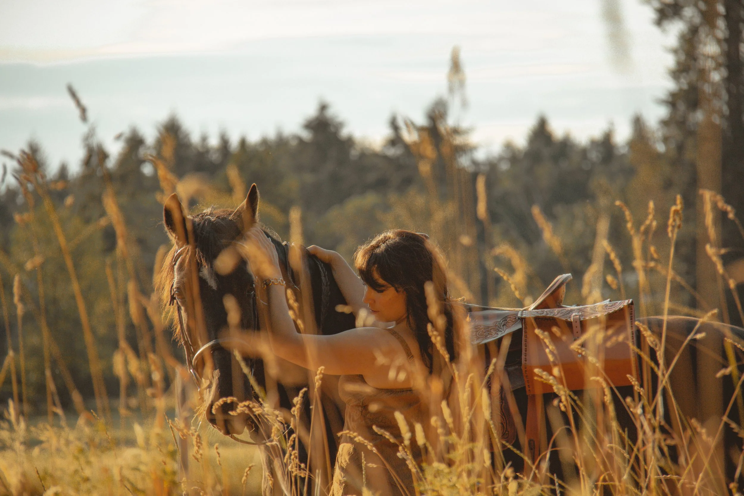 A woman with long dark hair and a horse in a field of tall, golden grass during sunset.