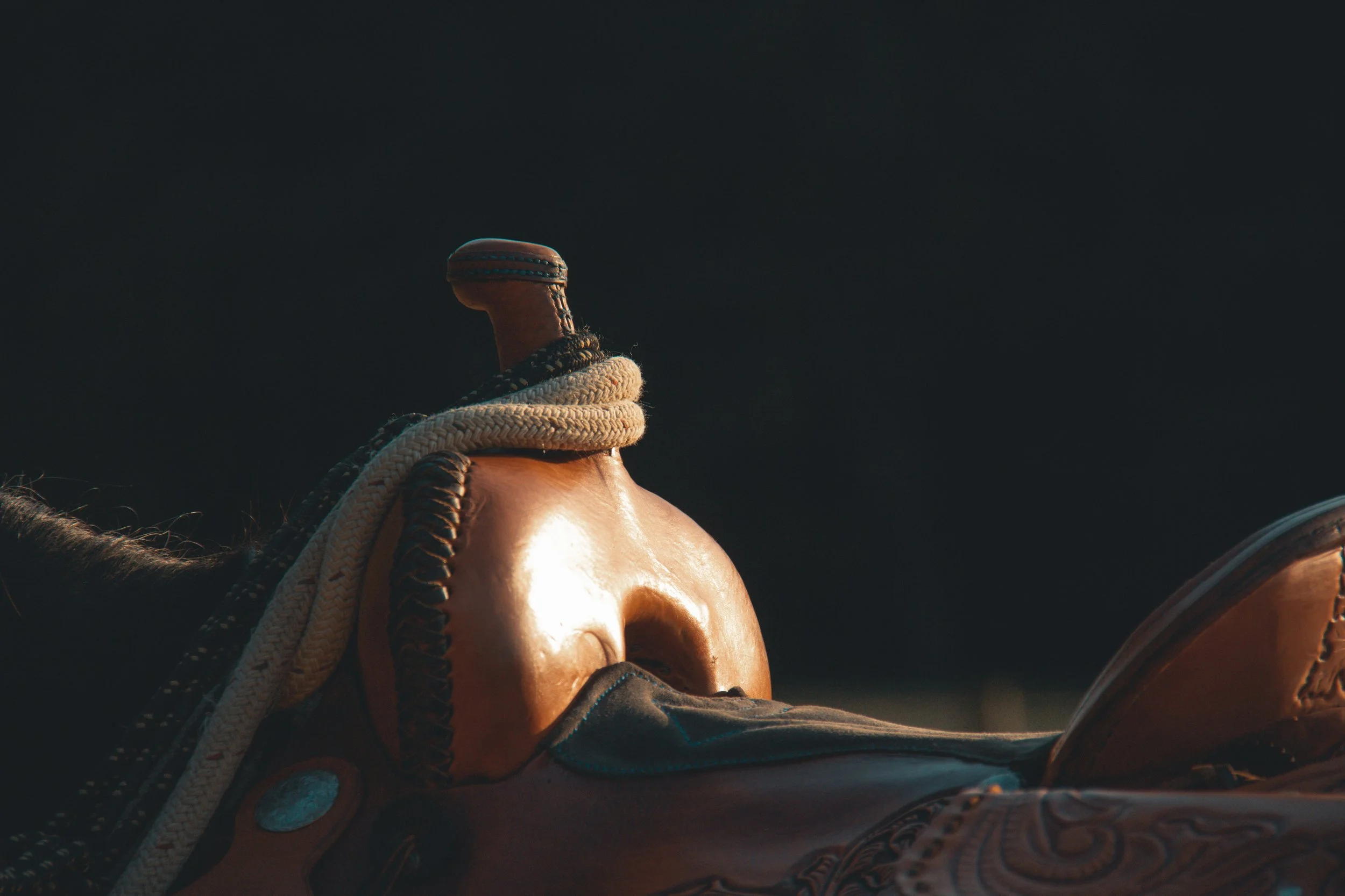 Close-up of a horse's head with a saddle and bridle, against a dark background.