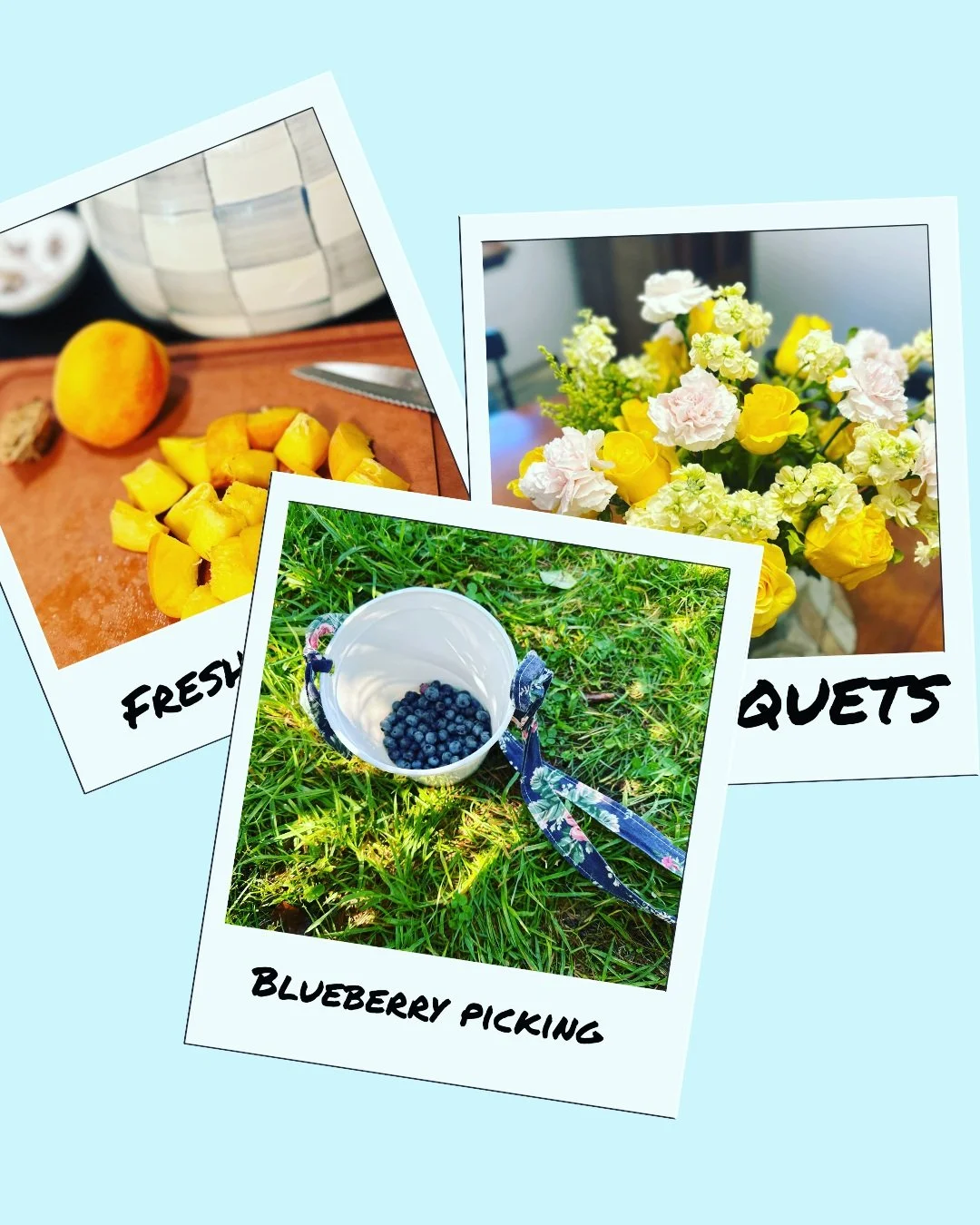 A little bit of the last pieces of summer, from my small town to yours. I'm not always sitting at my laptop, I swear😂

Farm fresh peaches, blueberry picking, and fluffy flowers!

I'm definitely a fall girl, but late summer has its charms.