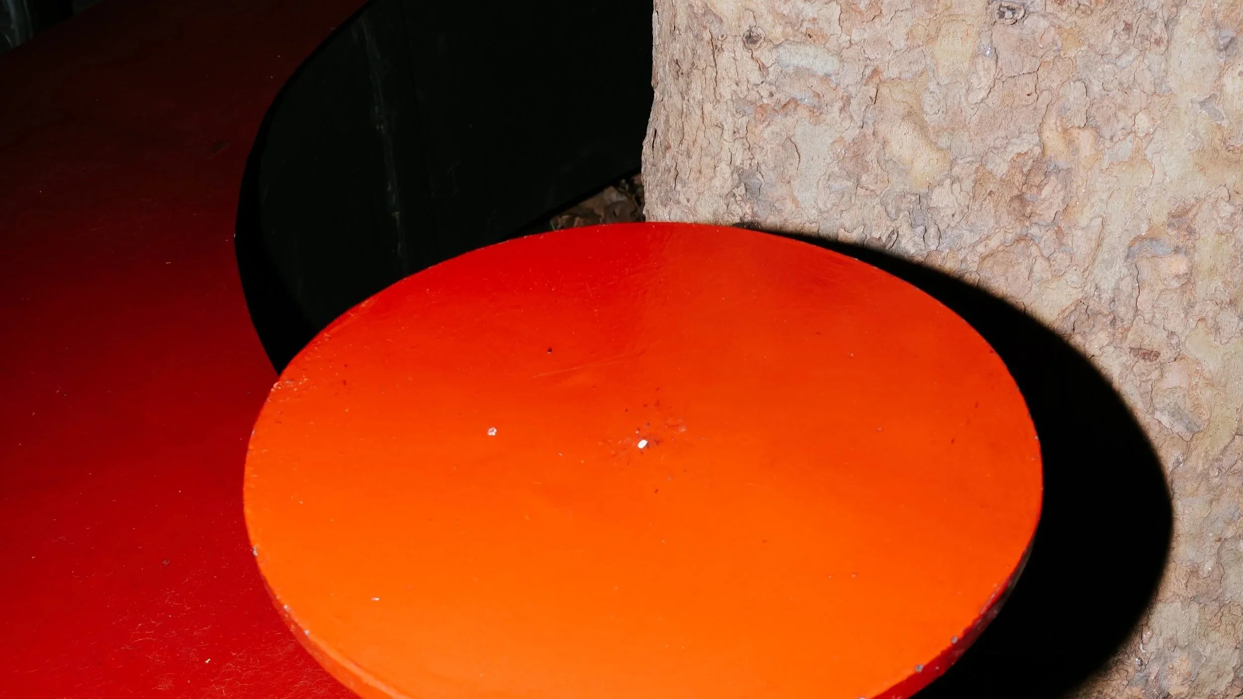 DSC03379.jpg