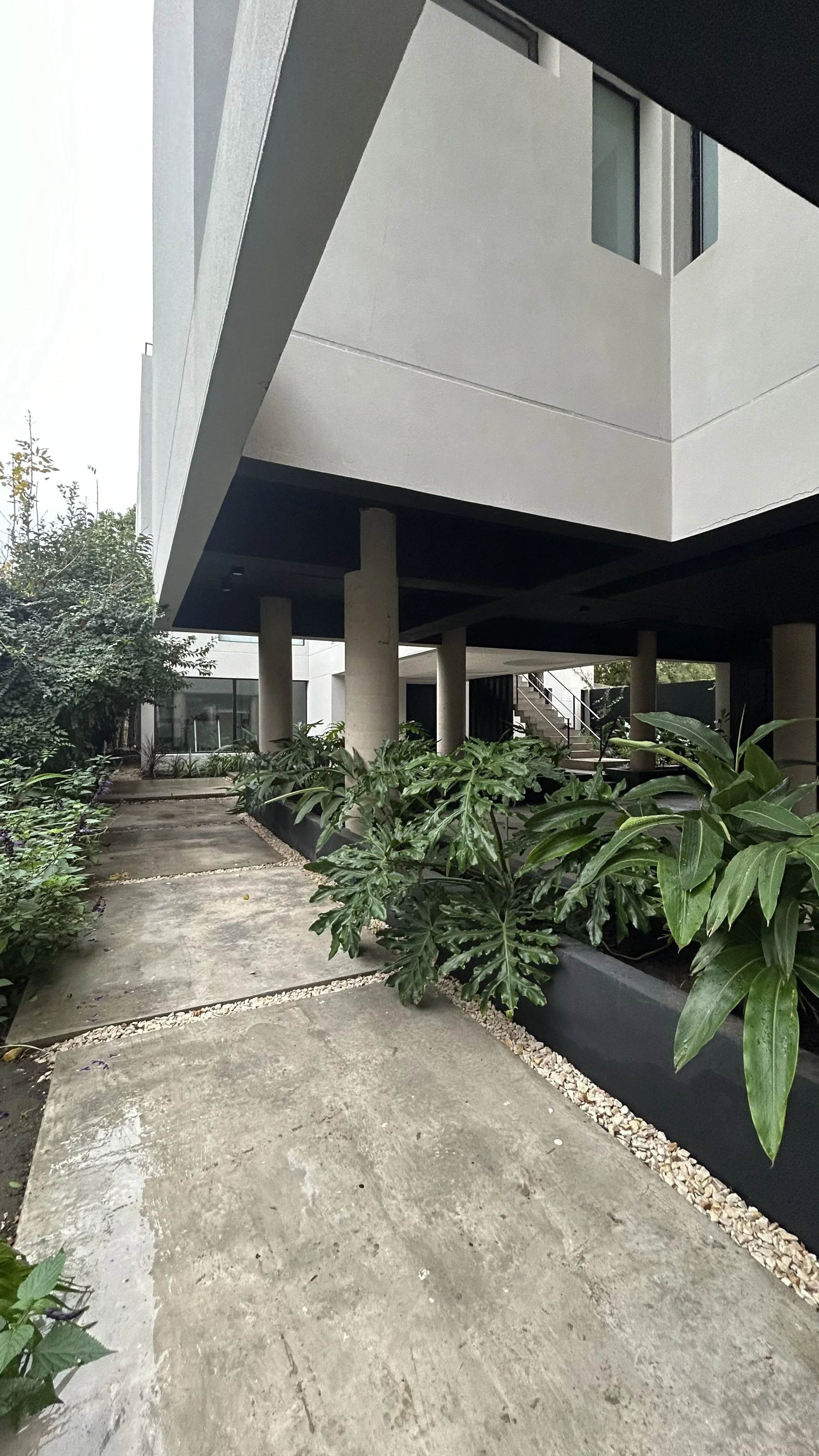 GARDEN5.JPG