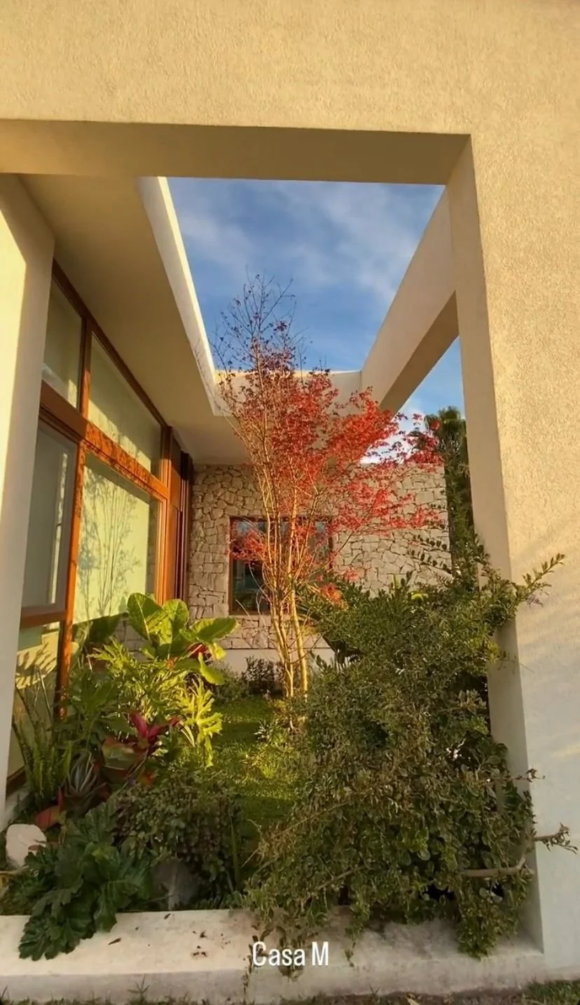 CASA M2.jpeg