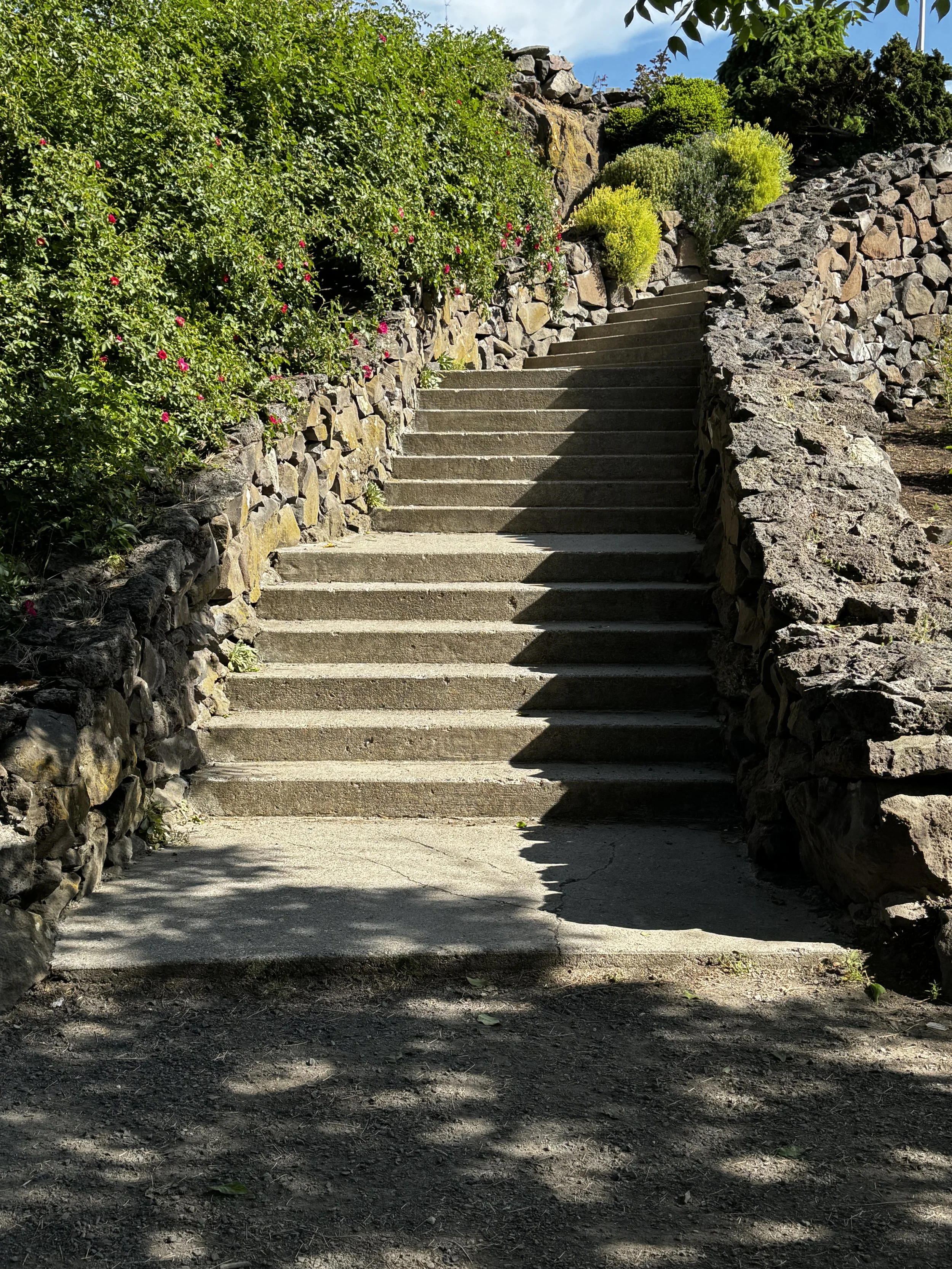 Concrete stairs leading up between rocky stone walls, shaded by trees and bushes, with sunlight casting shadows.